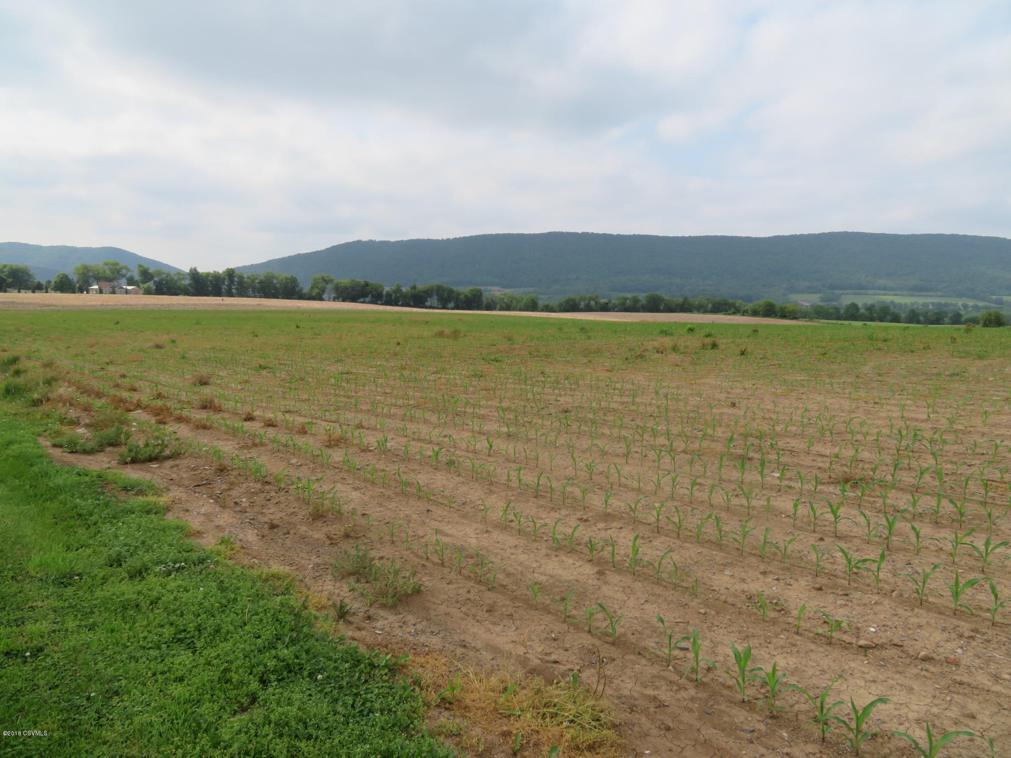 913 Ridge Road Mill Hall, PA 17751 - Photo 50 of 56