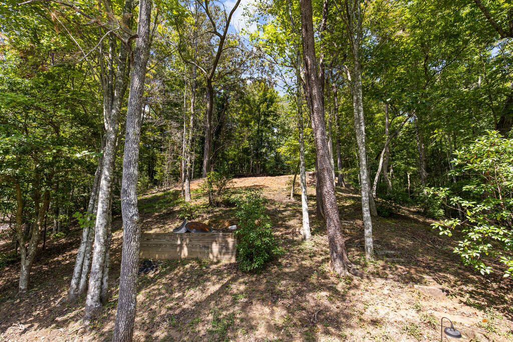 44-45 Overlook Drive Blue Ridge, GA 30513 - Photo 9 of 27 Gallery Image 9