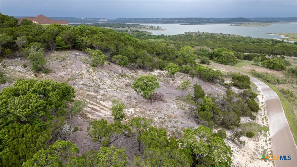 1259 Windy Hill Road Salado, TX 76571 - Photo 2 of 10 a view of a lush green forest with houses and lake view
