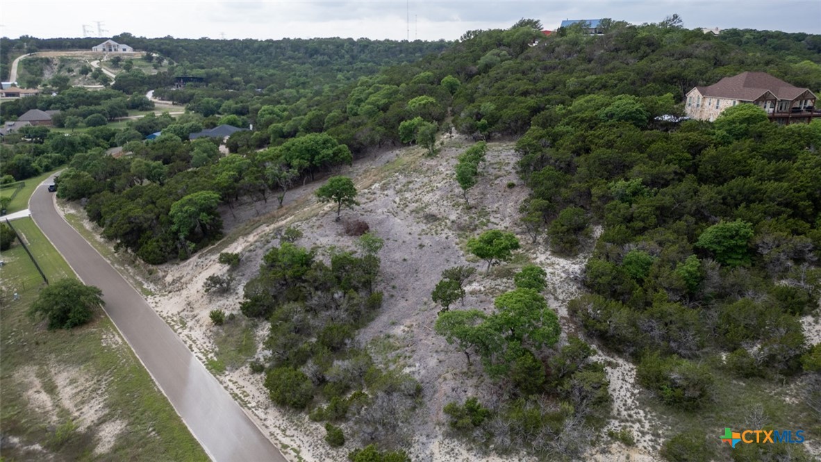 1259 Windy Hill Road Salado, TX 76571 - Photo 4 of 10 a view of a forest with a street