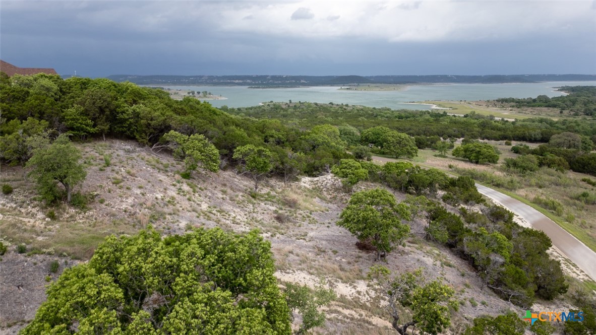 1259 Windy Hill Road Salado, TX 76571 - Photo 5 of 10 a view of a big yard with lots of green space and fog