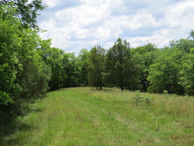 200 Hardy Road Pulaski, TN 38478 - Photo 20 of 20