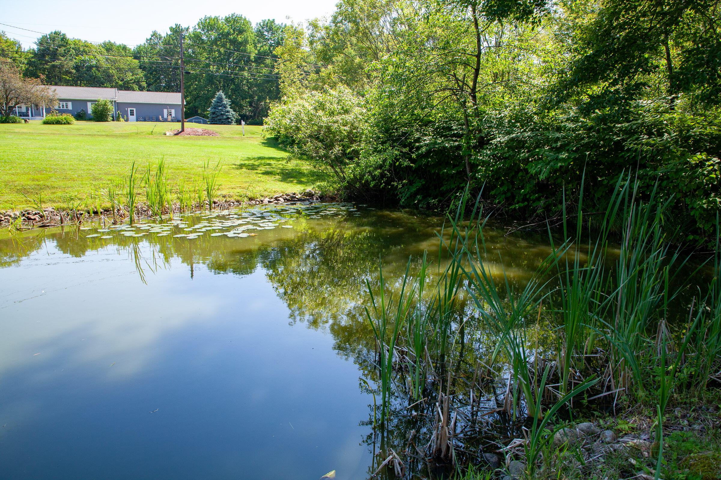 257 Gibbs Mill Road Livermore, ME 04253 - Photo 67 of 77 IMG_9819