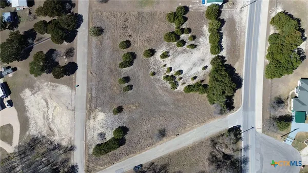 a view of bathroom with a potted plant