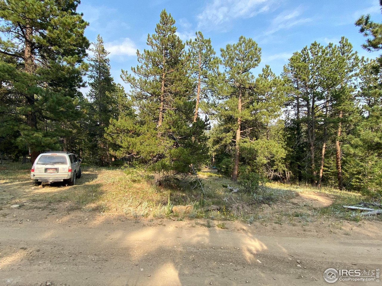 200 Hard Way Ward, CO 80481 - Photo 3 of 10 a view of a back yard of the house