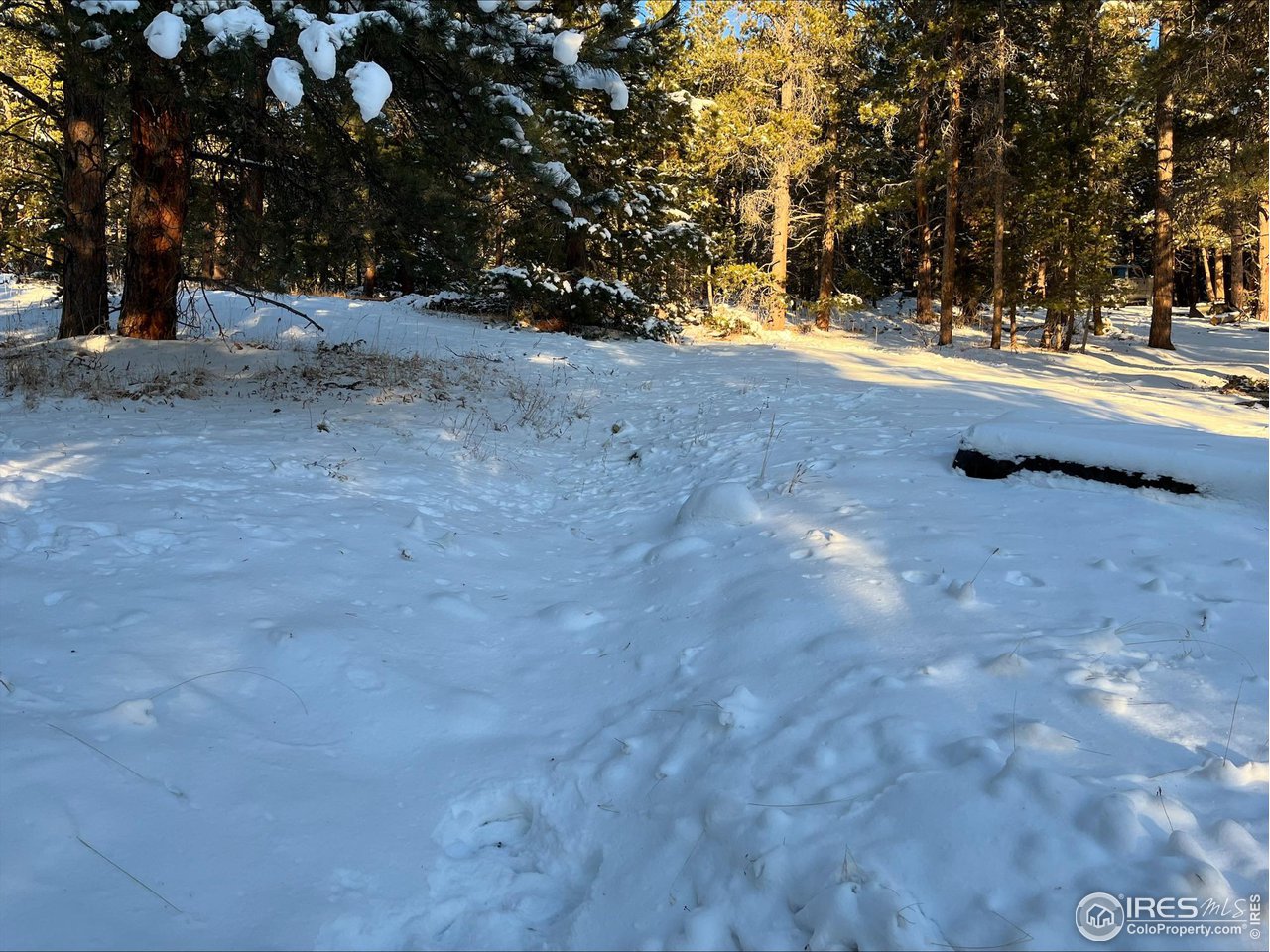 200 Hard Way Ward, CO 80481 - Photo 7 of 10 a view of a yard with a tree