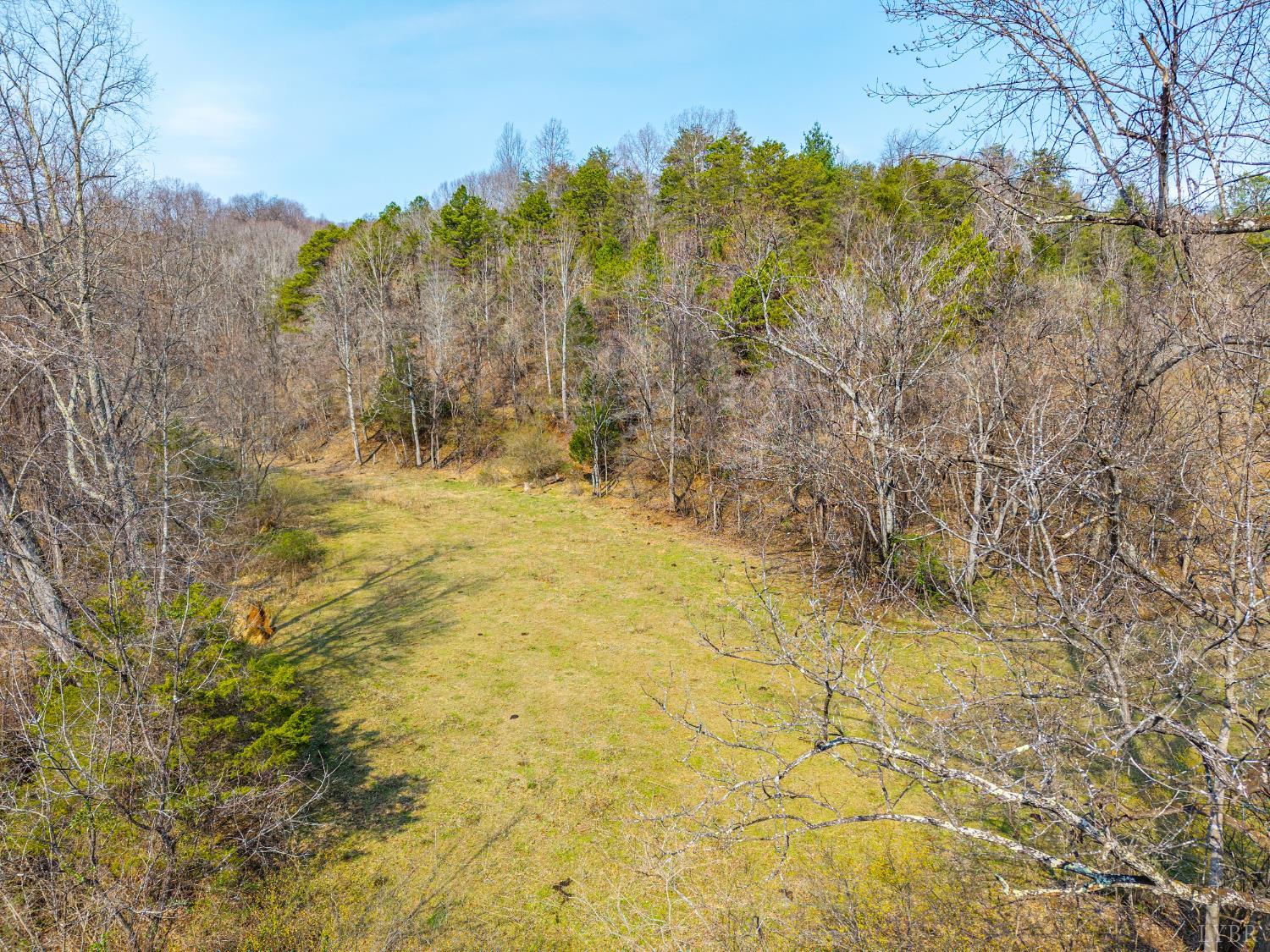 0 Puppy Creek Road Amherst, VA 24521 - Photo 7 of 37
