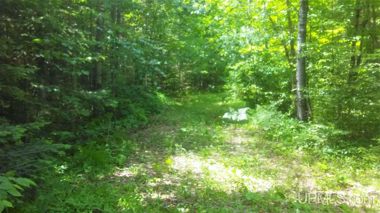 10480 North Riverside Road Hurley, WI 54534 - Photo 16 of 18 Gallery Image 16