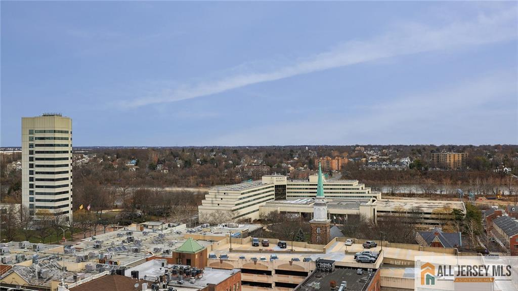 1 Spring Street, Unit 1102 New Brunswick, NJ 08901 - Photo 20 of 43