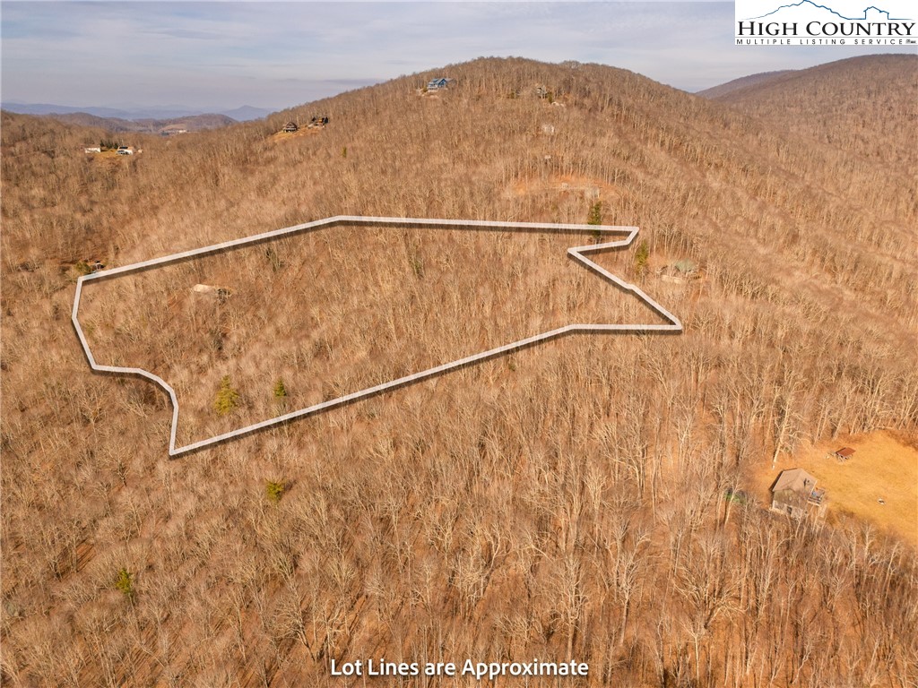 1395 Grady Winkler Road Boone, NC 28607 - Photo 4 of 50 Gallery Image 4