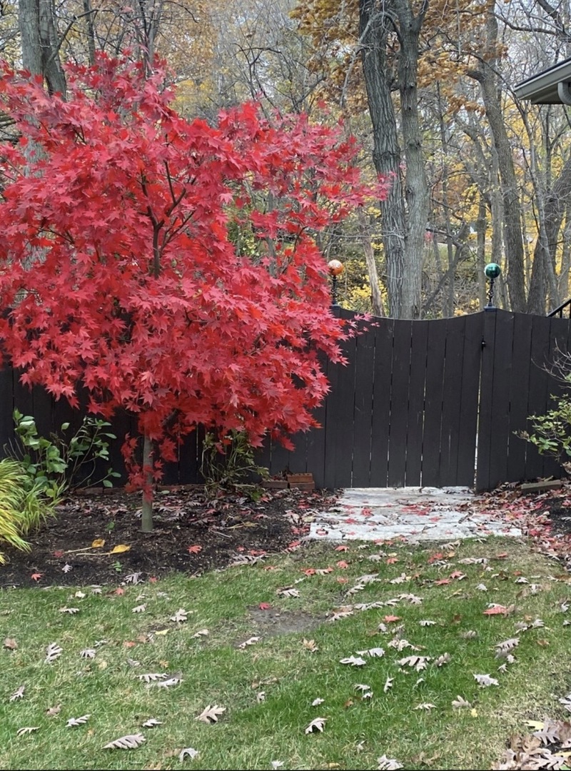 724 Ridge Road Lemont, IL 60439 - Photo 4 of 29