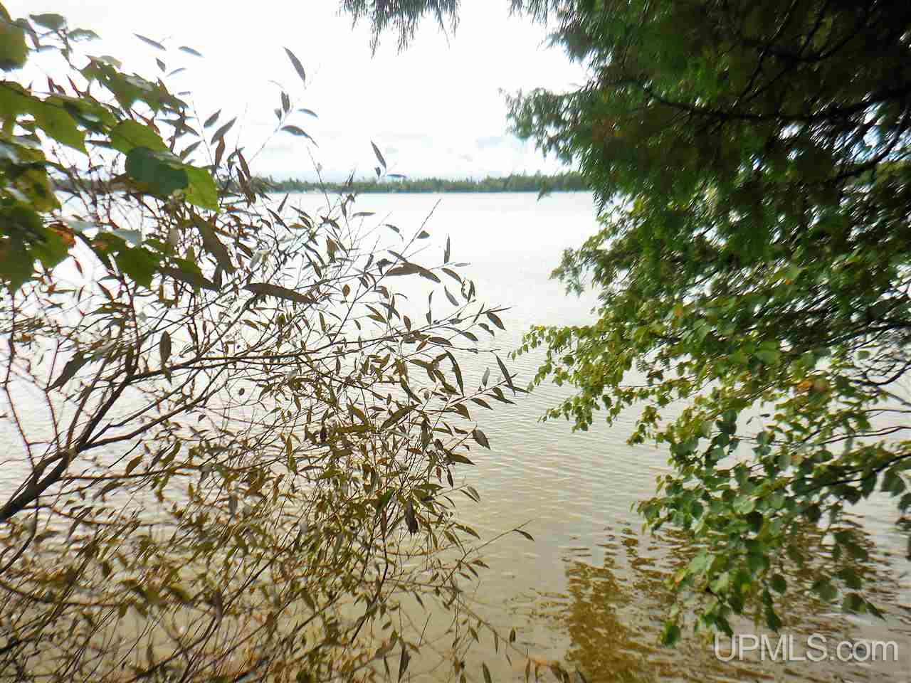 3365 West North Gulliver Lake Road Gulliver, MI 49840 - Photo 2 of 17