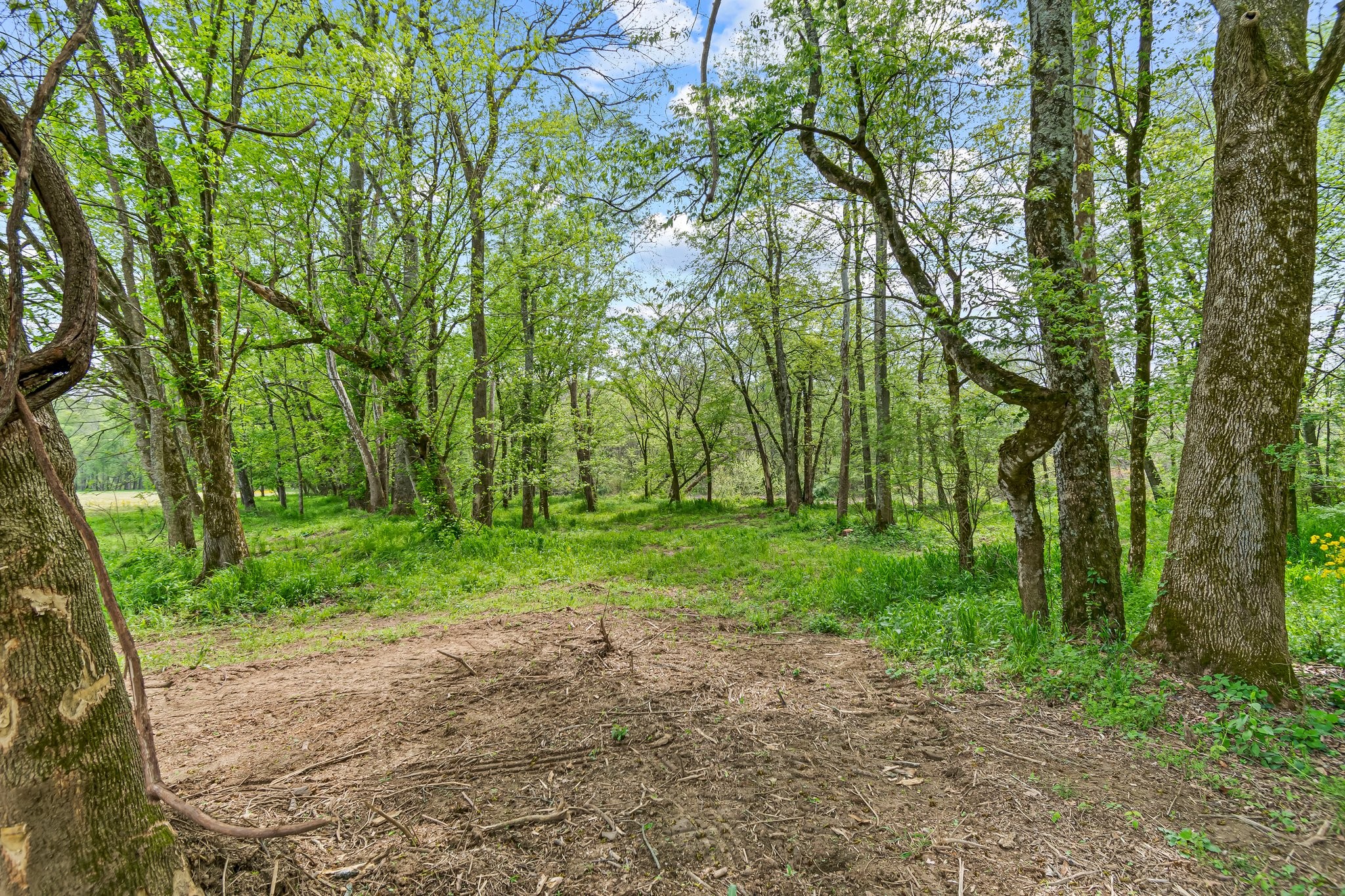 0 Backside Beaverdam Road Centerville, TN 37033 - Photo 12 of 53 Gallery Image 12