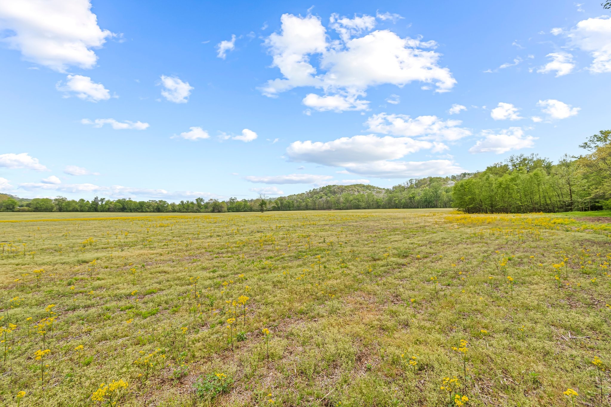 0 Backside Beaverdam Road Centerville, TN 37033 - Photo 13 of 53 Gallery Image 13