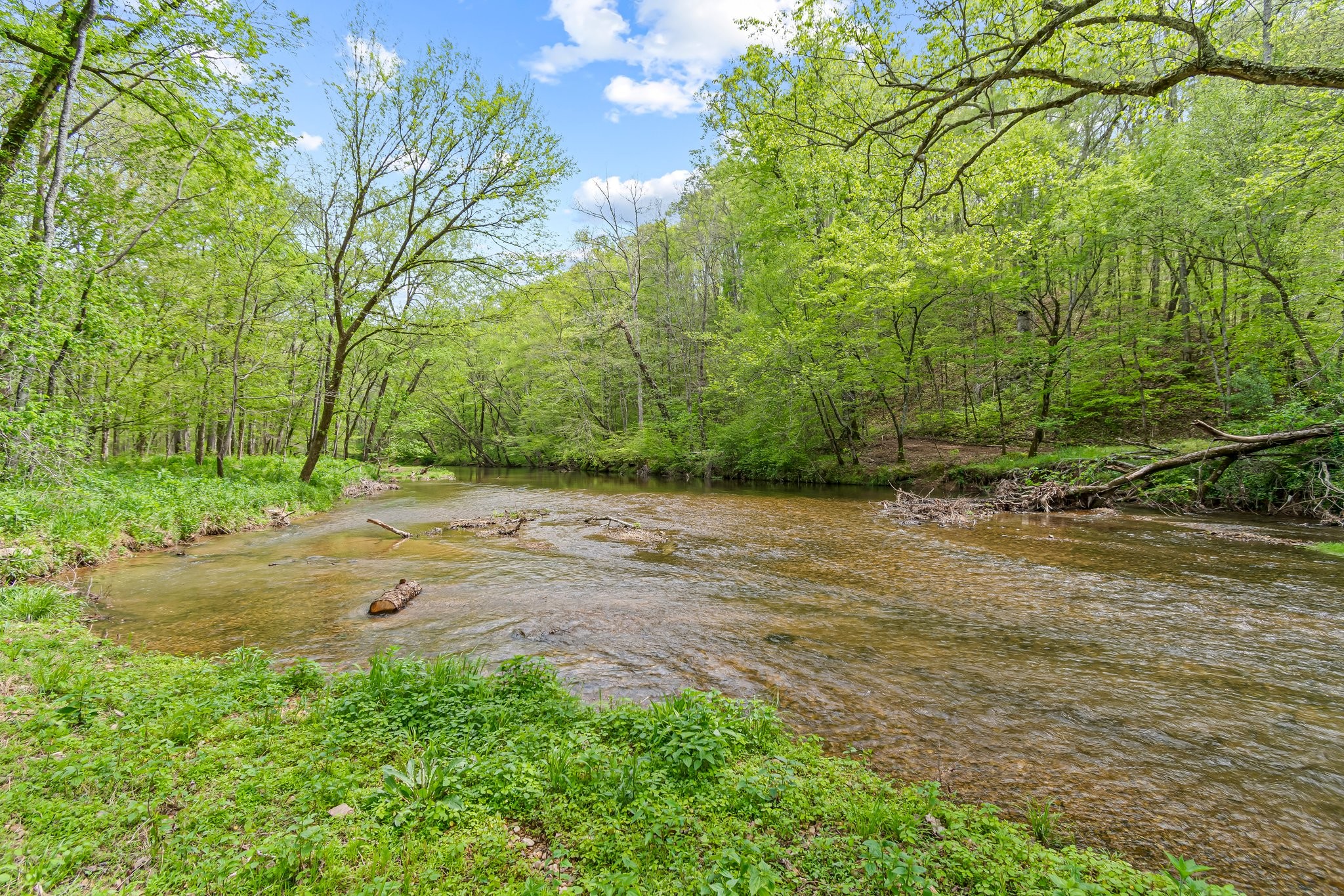 0 Backside Beaverdam Road Centerville, TN 37033 - Photo 14 of 53 Gallery Image 14