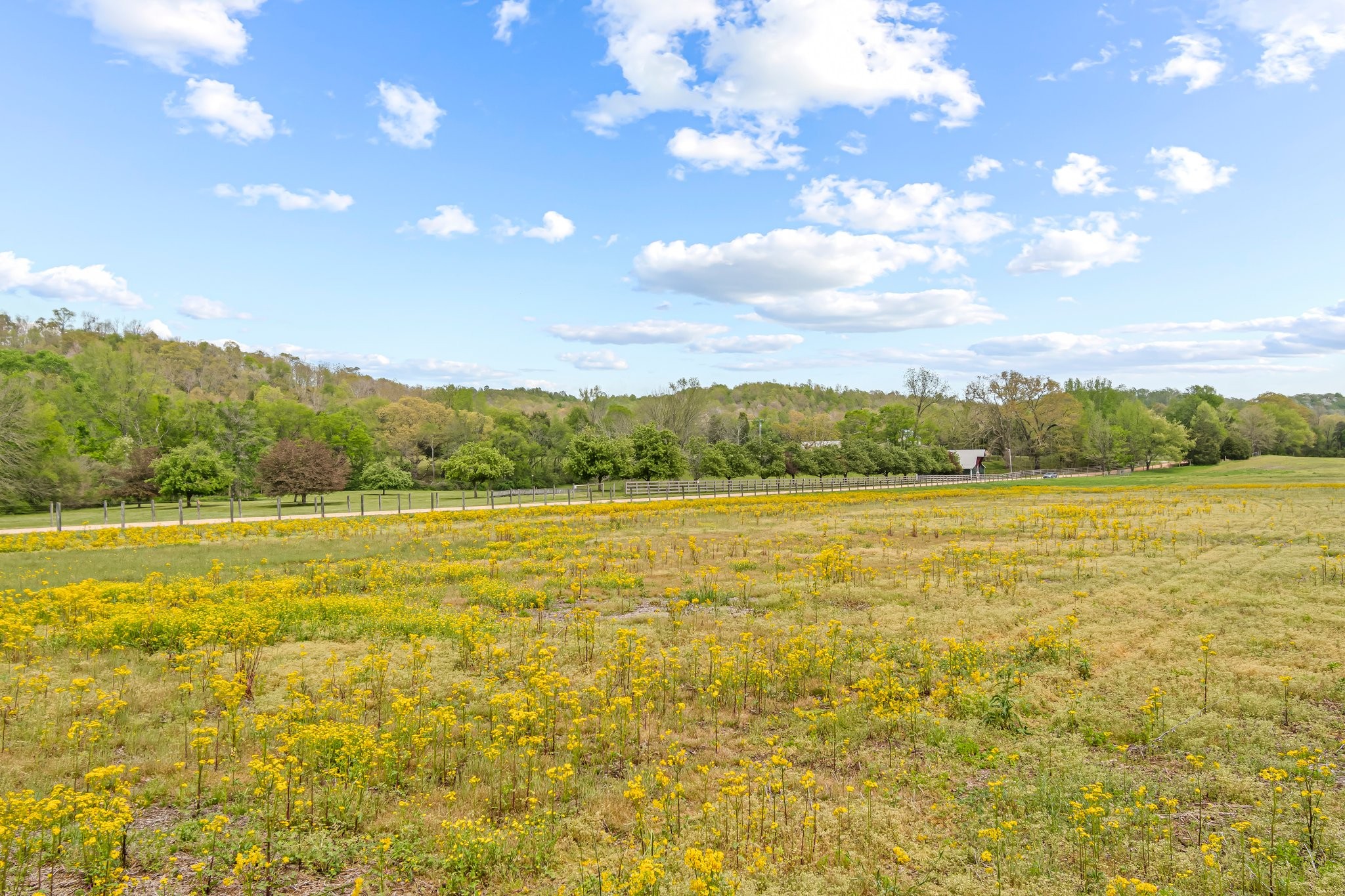 0 Backside Beaverdam Road Centerville, TN 37033 - Photo 15 of 53 Gallery Image 15