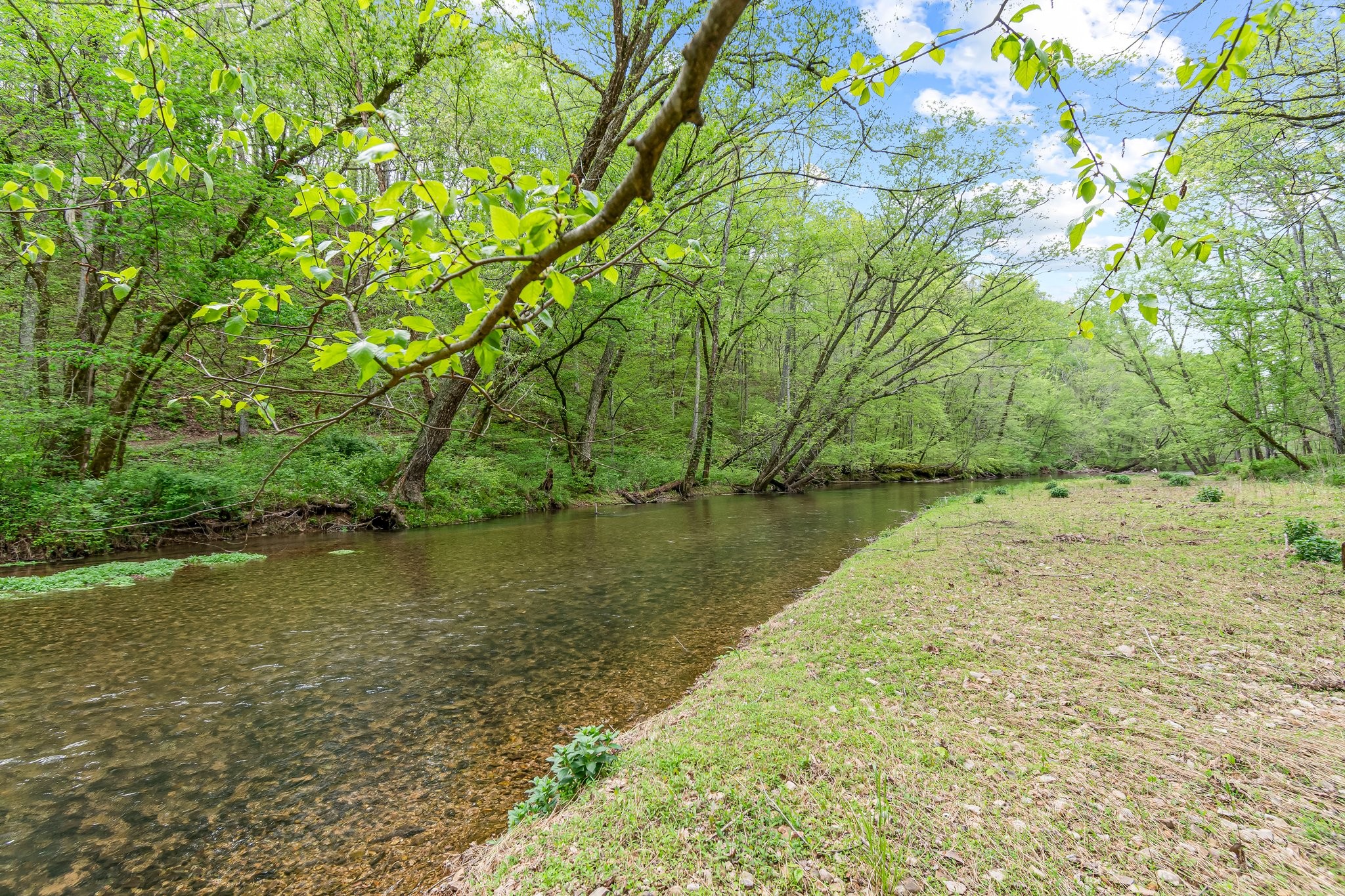 0 Backside Beaverdam Road Centerville, TN 37033 - Photo 16 of 53 Gallery Image 16