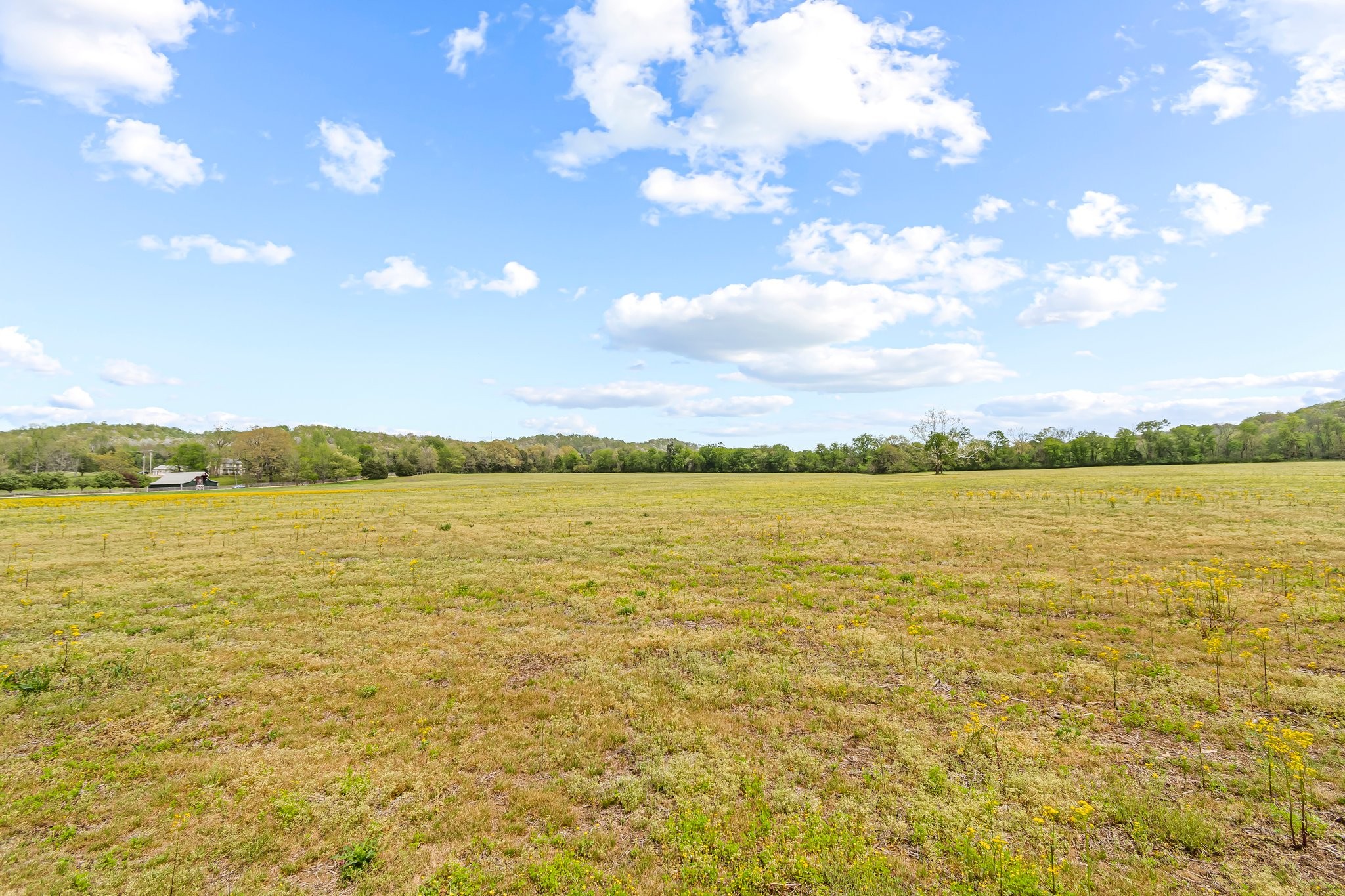 0 Backside Beaverdam Road Centerville, TN 37033 - Photo 17 of 53 Gallery Image 17