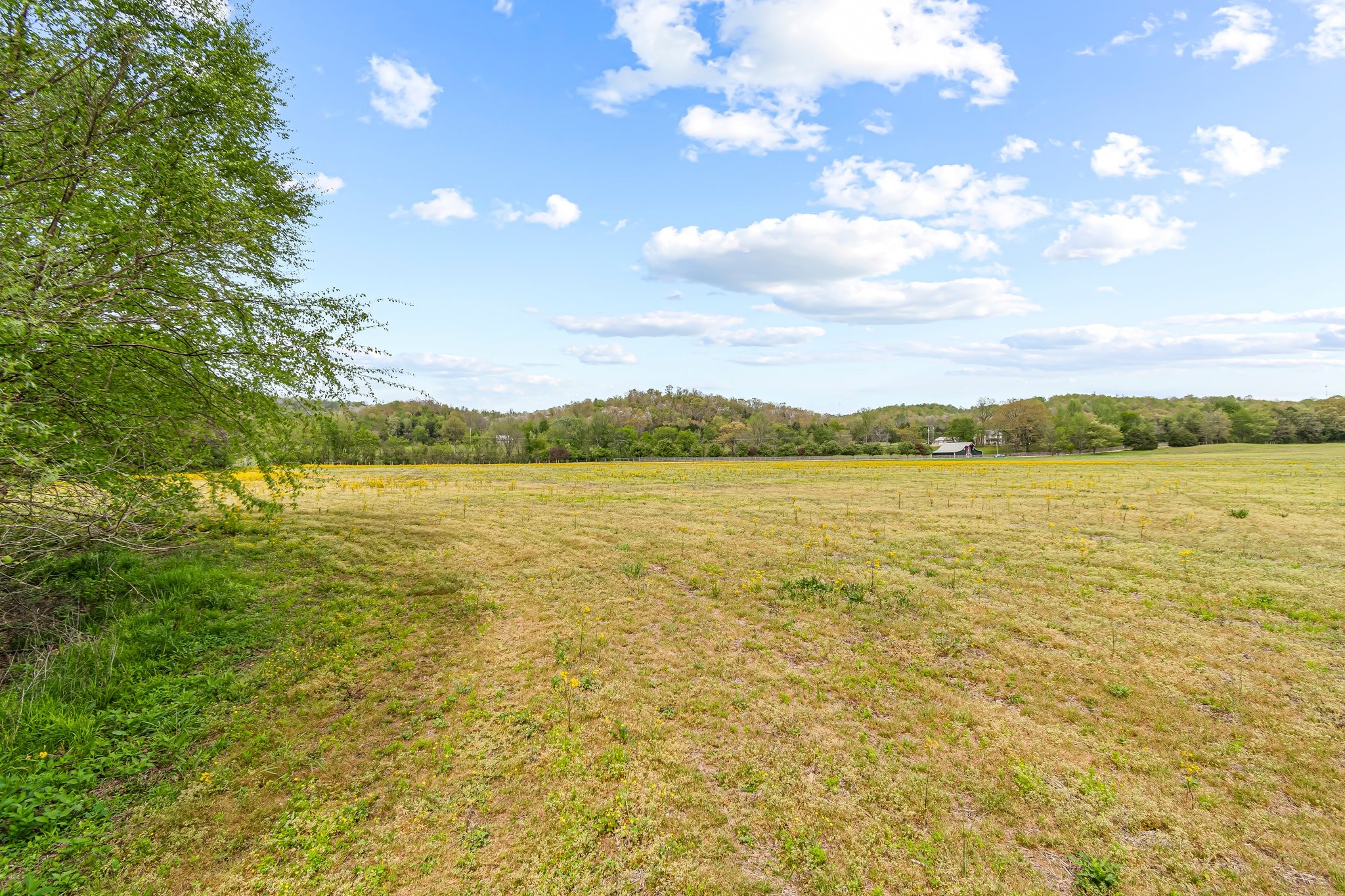 0 Backside Beaverdam Road Centerville, TN 37033 - Photo 18 of 53 Gallery Image 18