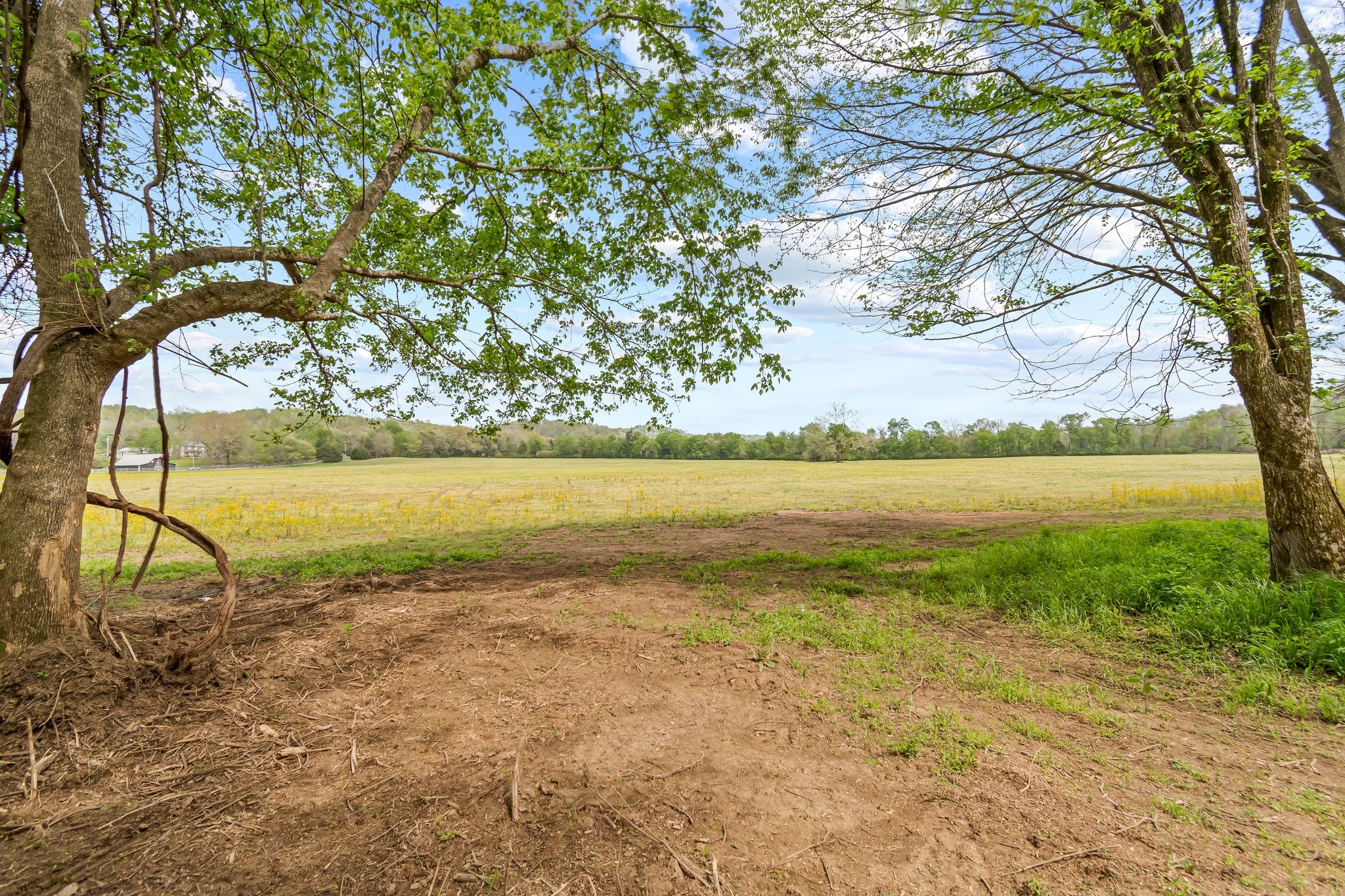 0 Backside Beaverdam Road Centerville, TN 37033 - Photo 19 of 53 Gallery Image 19