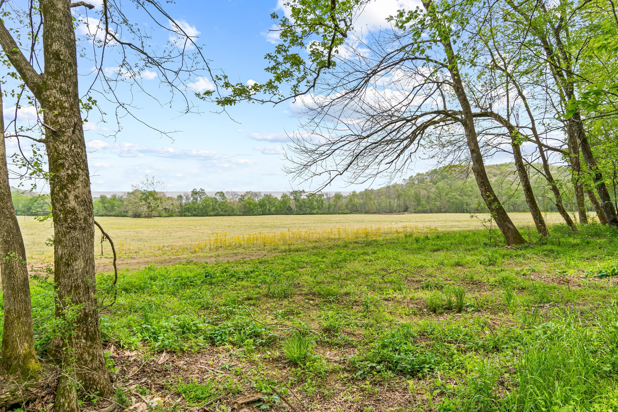 0 Backside Beaverdam Road Centerville, TN 37033 - Photo 20 of 53 Gallery Image 20