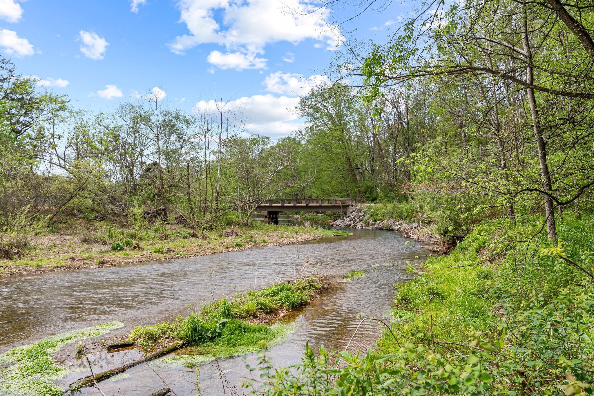 0 Backside Beaverdam Road Centerville, TN 37033 - Photo 22 of 53 Gallery Image 22