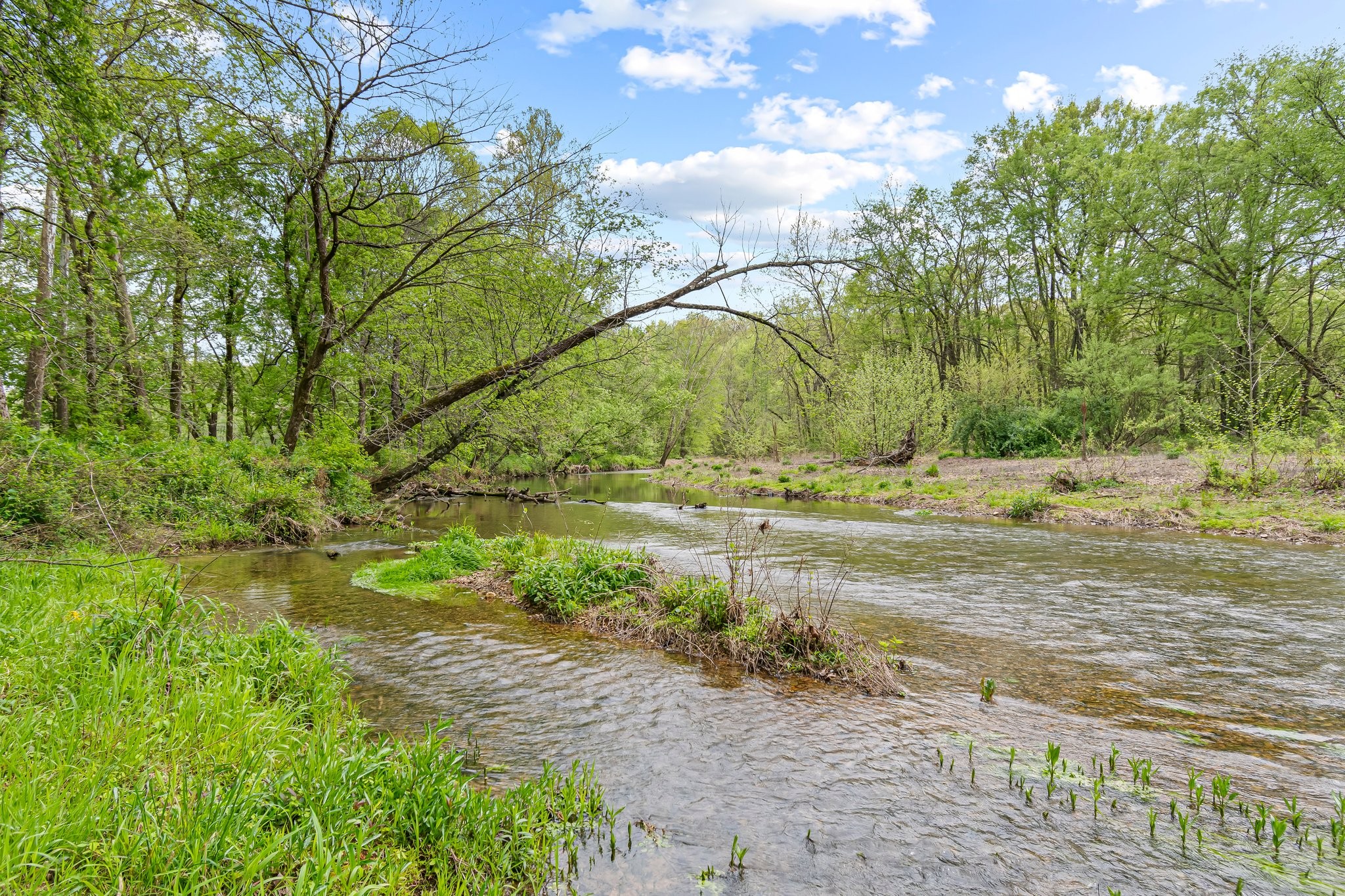 0 Backside Beaverdam Road Centerville, TN 37033 - Photo 23 of 53 Gallery Image 23