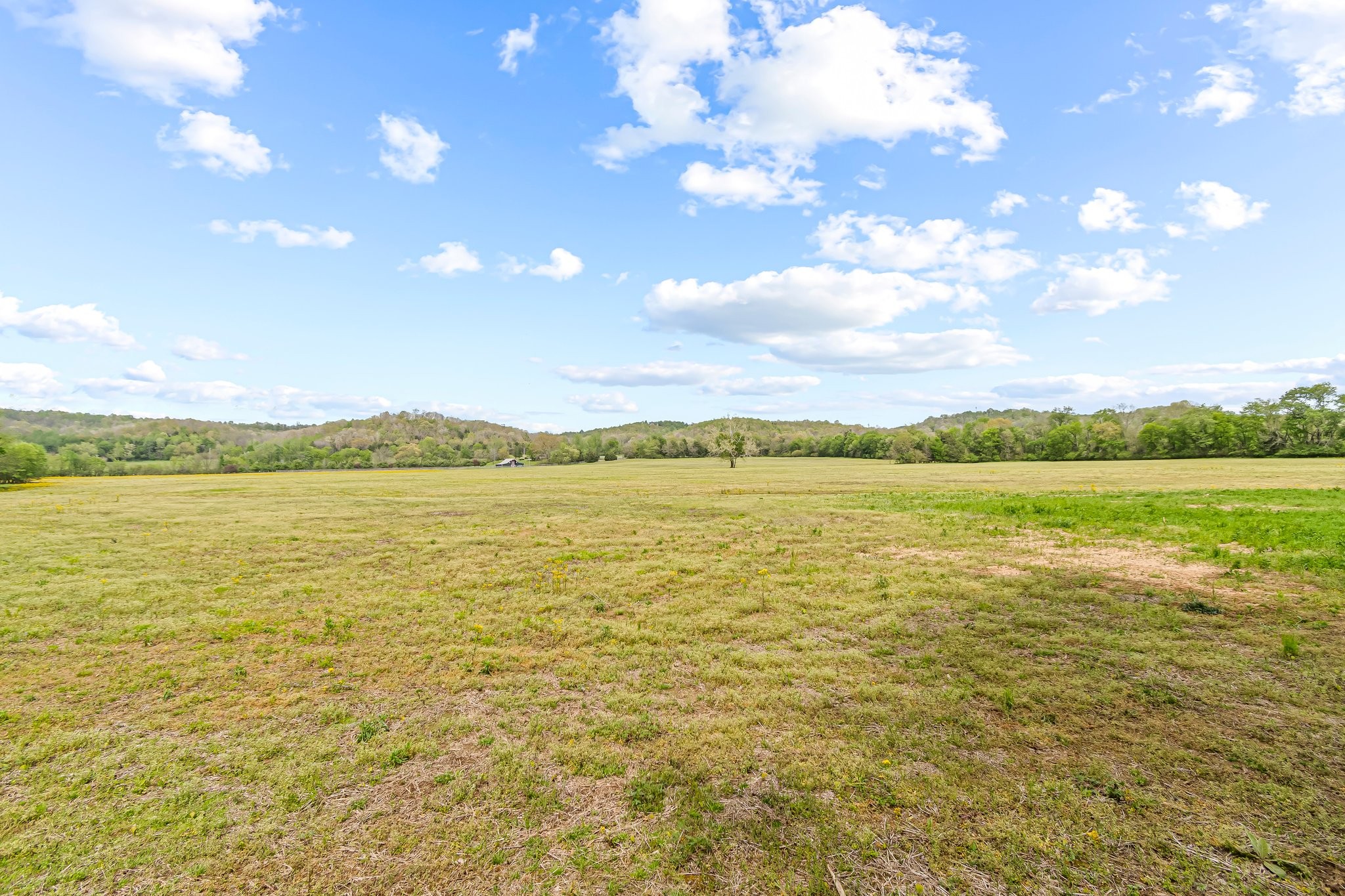 0 Backside Beaverdam Road Centerville, TN 37033 - Photo 24 of 53 Gallery Image 24