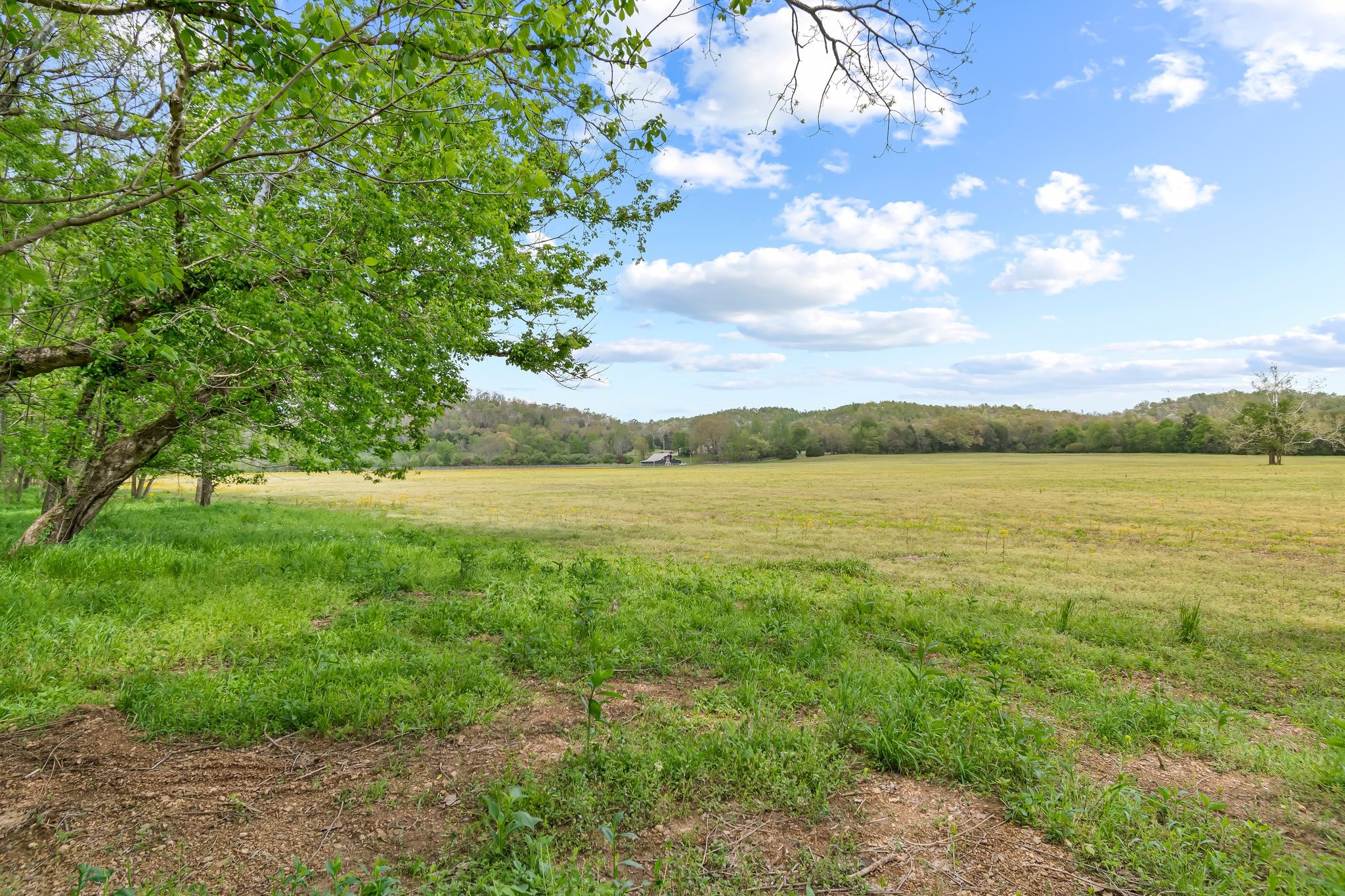 0 Backside Beaverdam Road Centerville, TN 37033 - Photo 25 of 53 Gallery Image 25