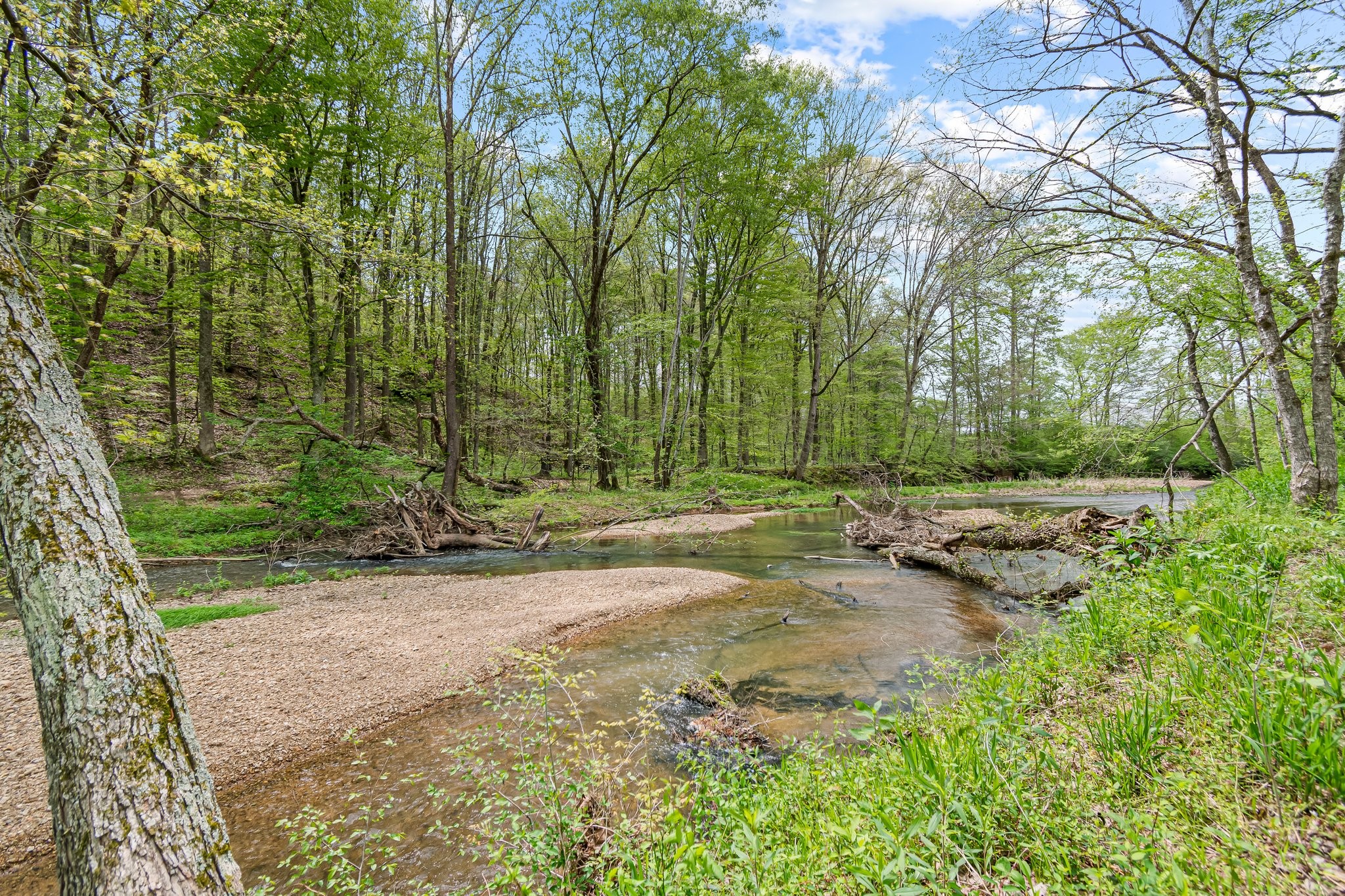 0 Backside Beaverdam Road Centerville, TN 37033 - Photo 27 of 53 Gallery Image 27