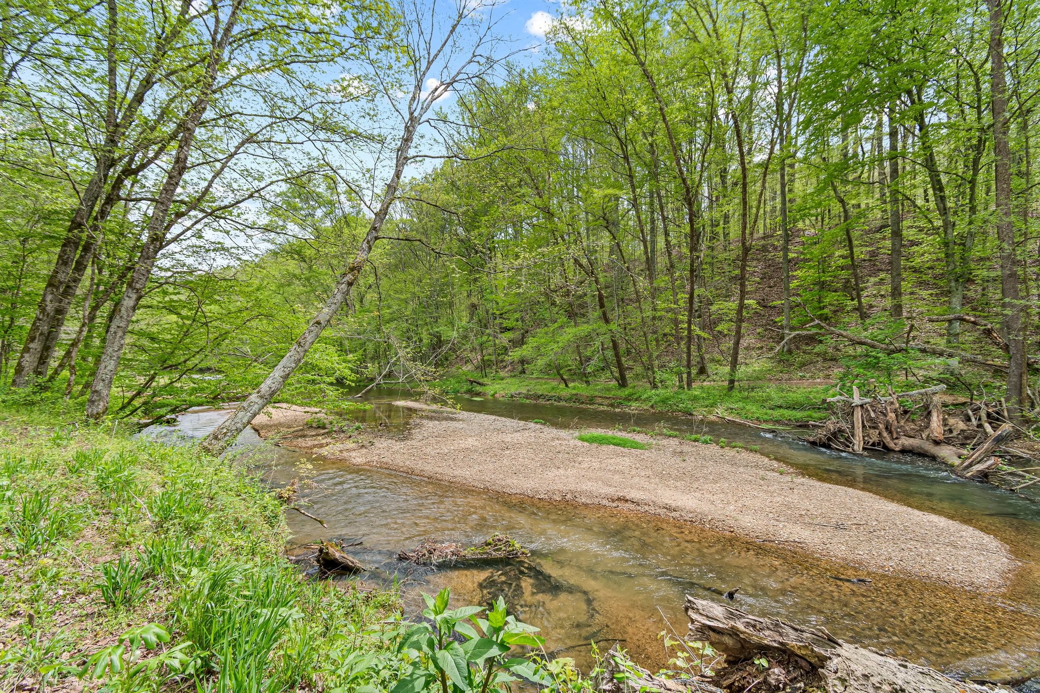 0 Backside Beaverdam Road Centerville, TN 37033 - Photo 28 of 53 Gallery Image 28