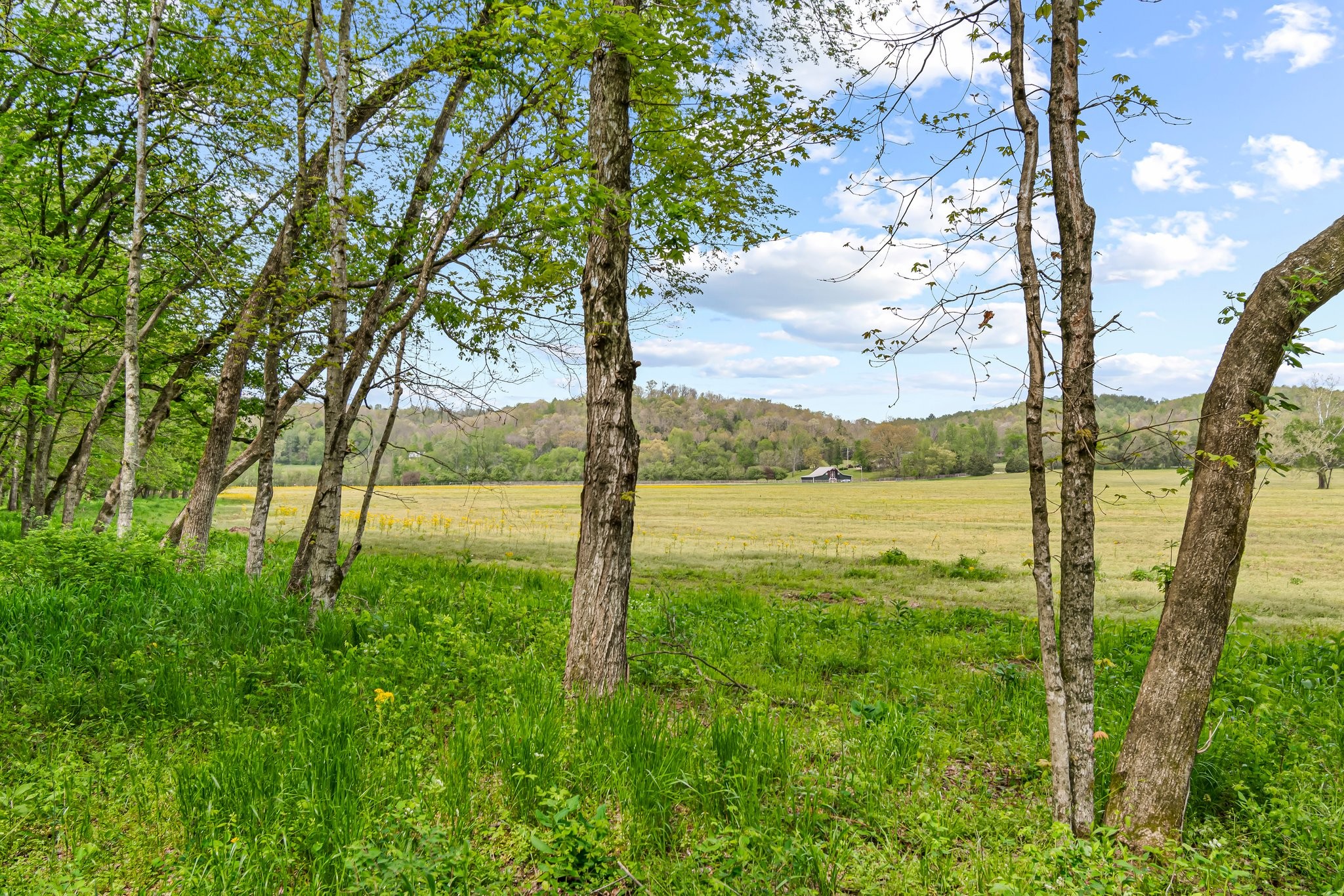 0 Backside Beaverdam Road Centerville, TN 37033 - Photo 29 of 53 Gallery Image 29