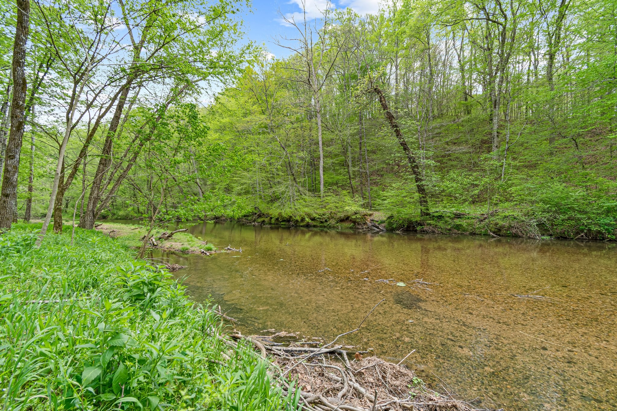 0 Backside Beaverdam Road Centerville, TN 37033 - Photo 30 of 53 Gallery Image 30