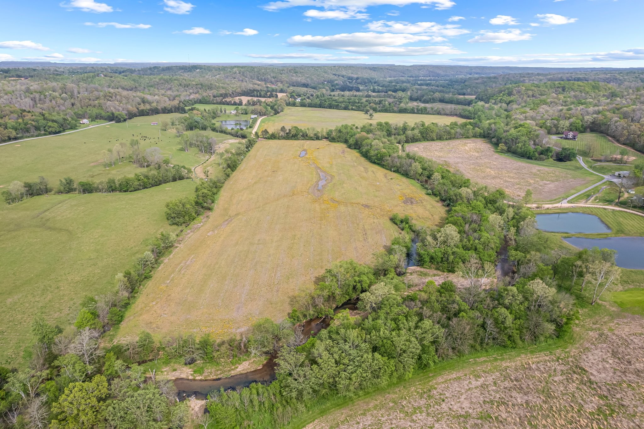 0 Backside Beaverdam Road Centerville, TN 37033 - Photo 3 of 53 Gallery Image 3