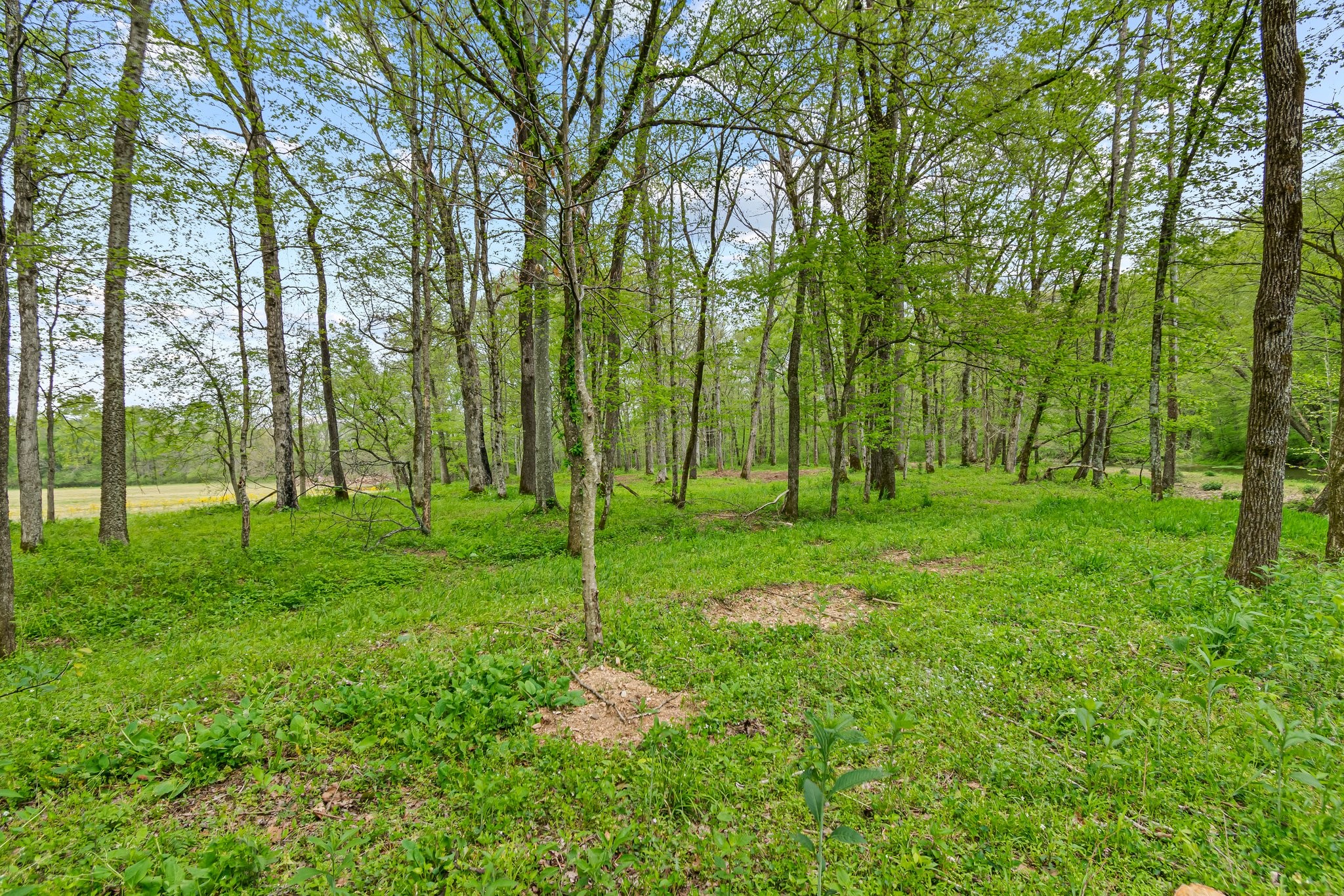 0 Backside Beaverdam Road Centerville, TN 37033 - Photo 31 of 53 Gallery Image 31