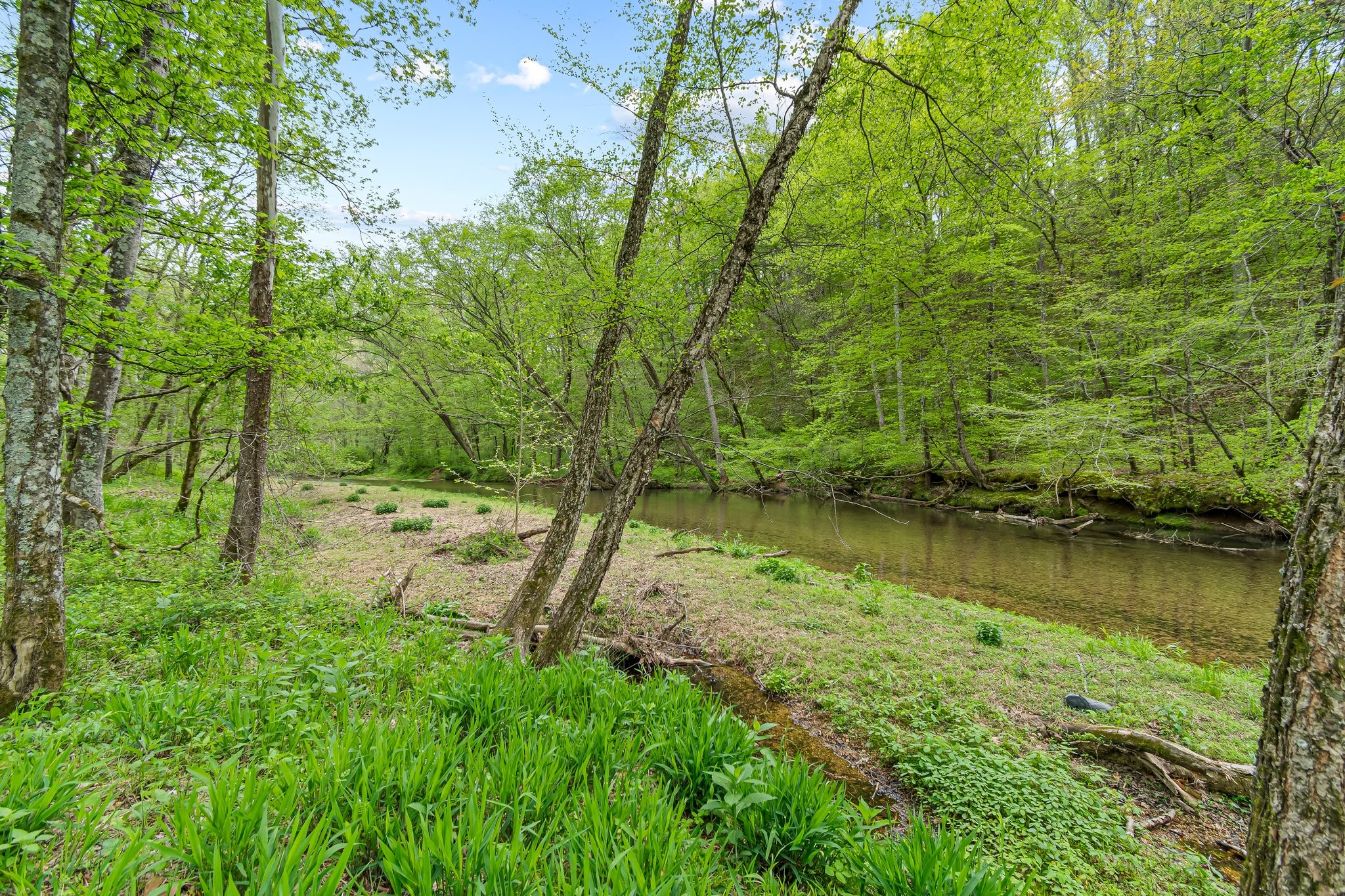 0 Backside Beaverdam Road Centerville, TN 37033 - Photo 32 of 53 Gallery Image 32