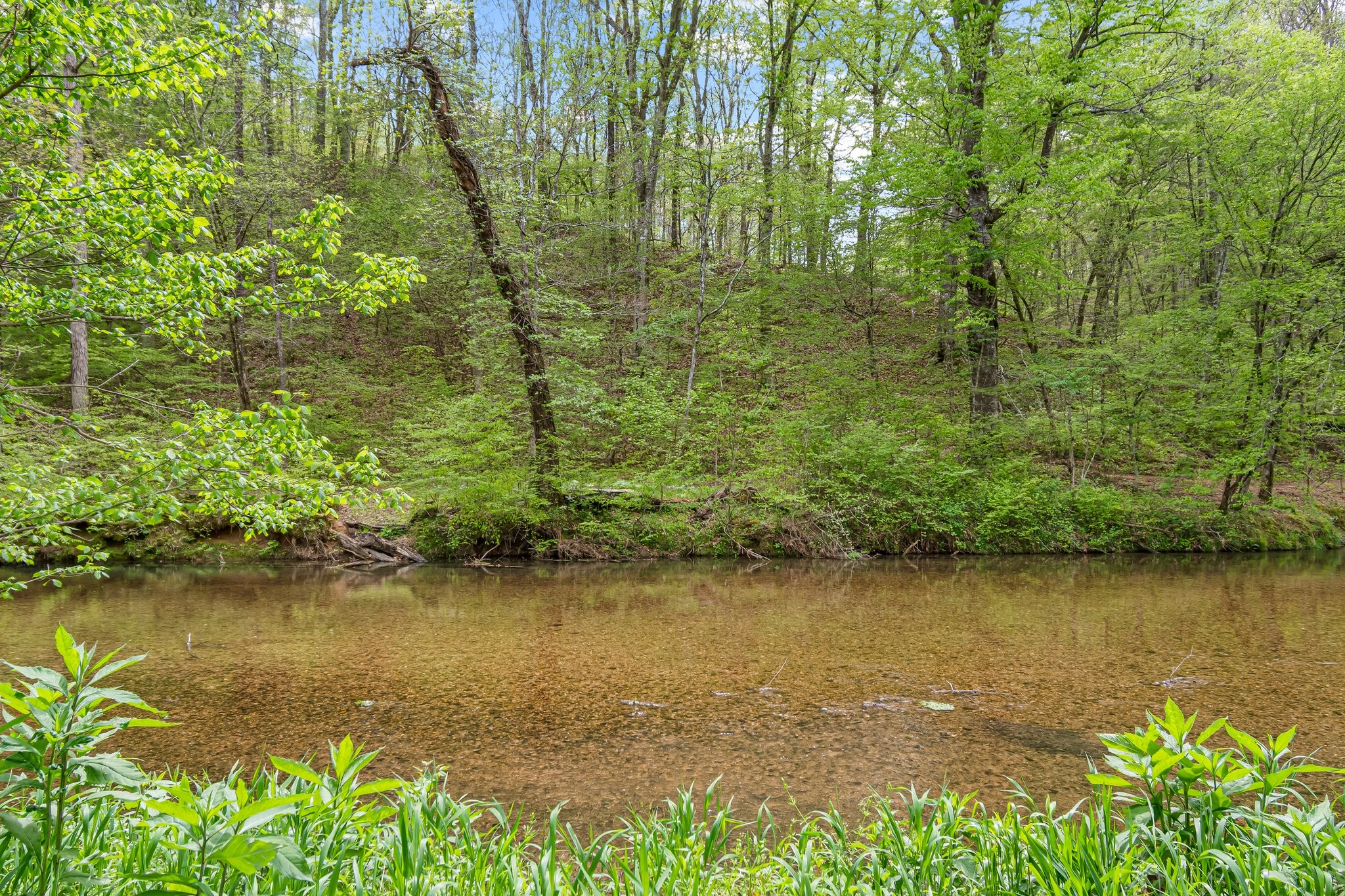 0 Backside Beaverdam Road Centerville, TN 37033 - Photo 34 of 53 Gallery Image 34