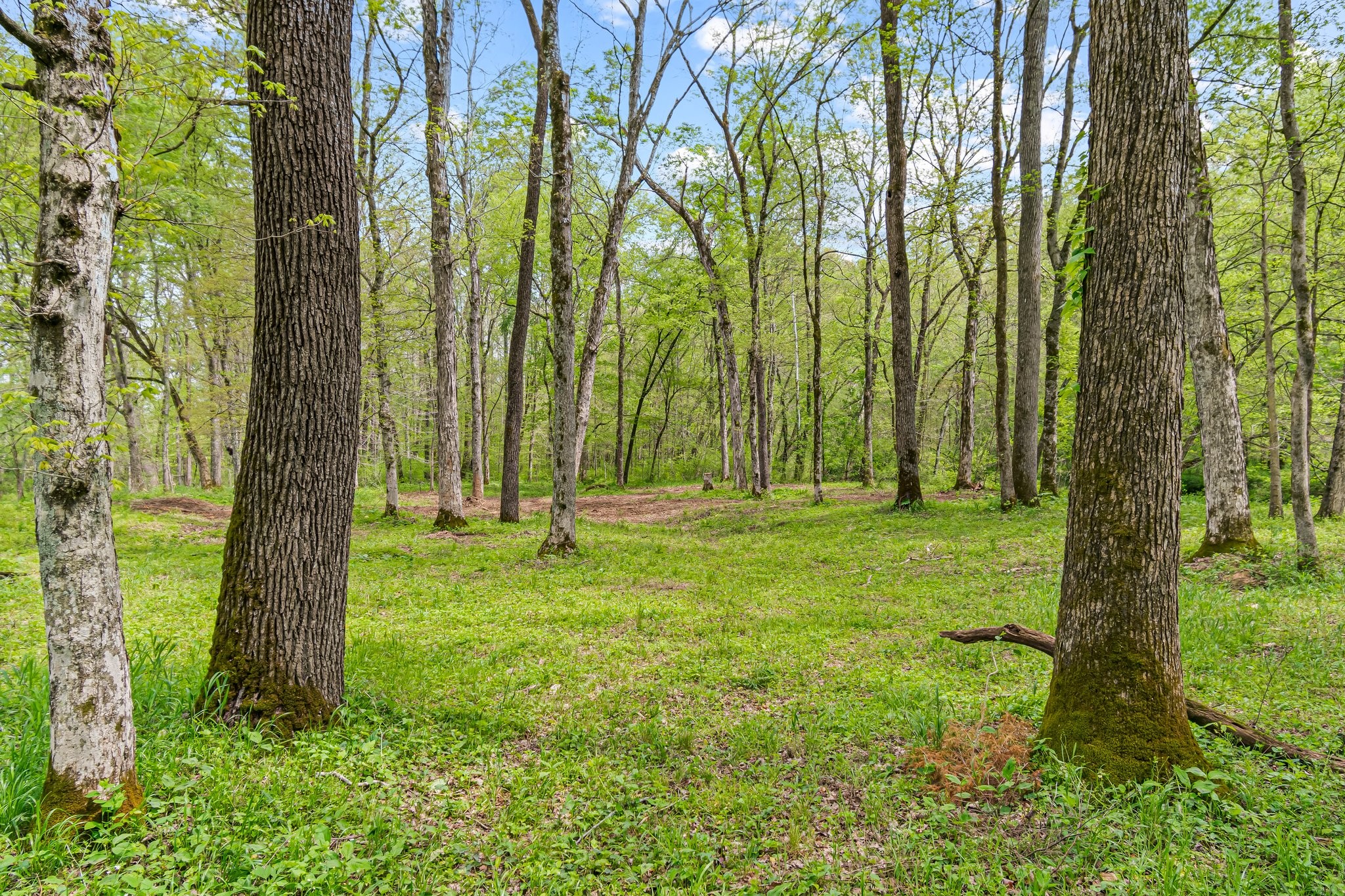 0 Backside Beaverdam Road Centerville, TN 37033 - Photo 35 of 53 Gallery Image 35