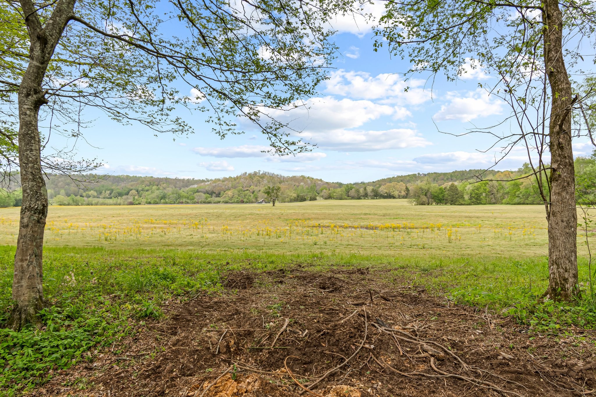 0 Backside Beaverdam Road Centerville, TN 37033 - Photo 36 of 53 Gallery Image 36