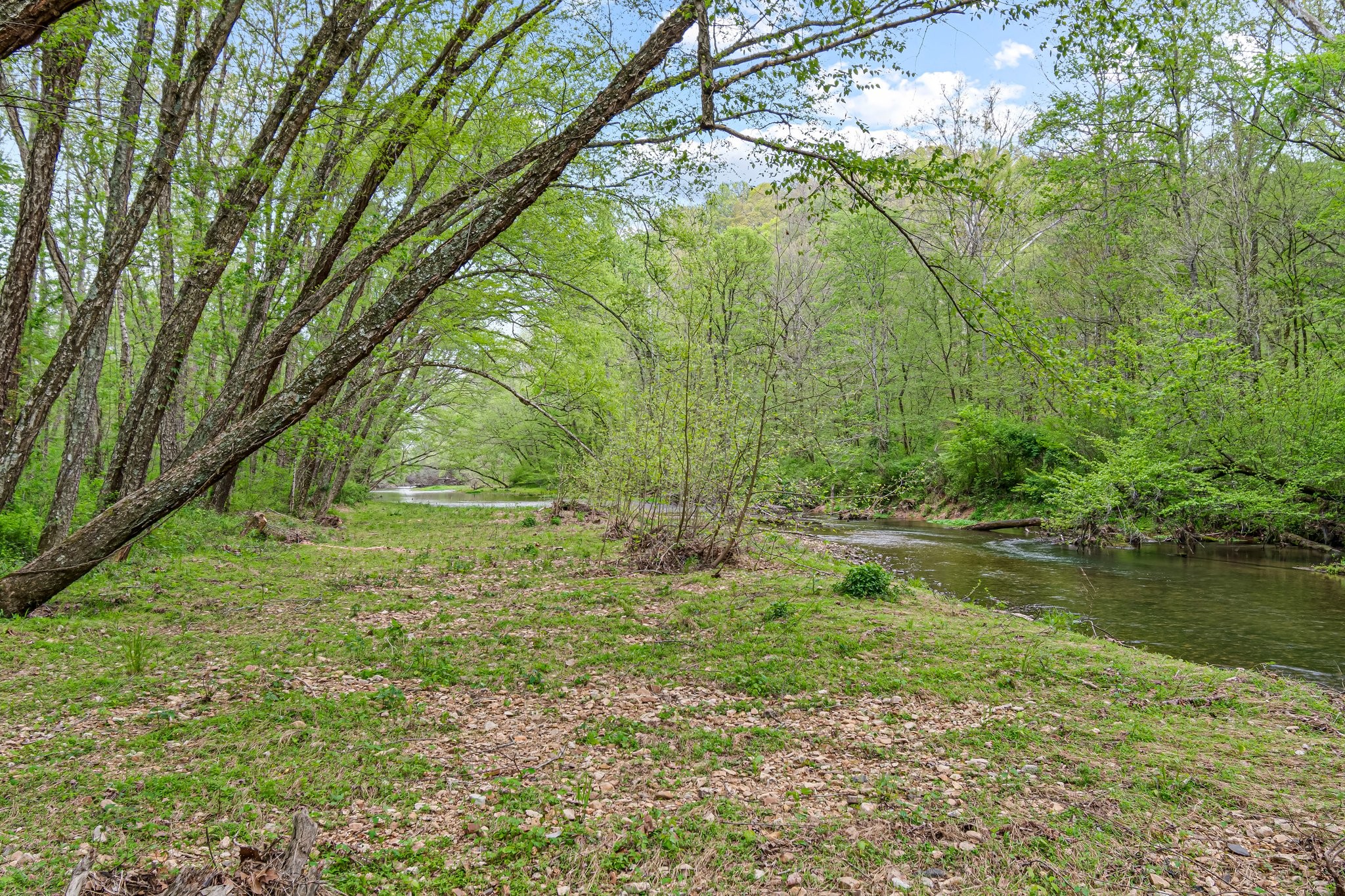 0 Backside Beaverdam Road Centerville, TN 37033 - Photo 37 of 53 Gallery Image 37