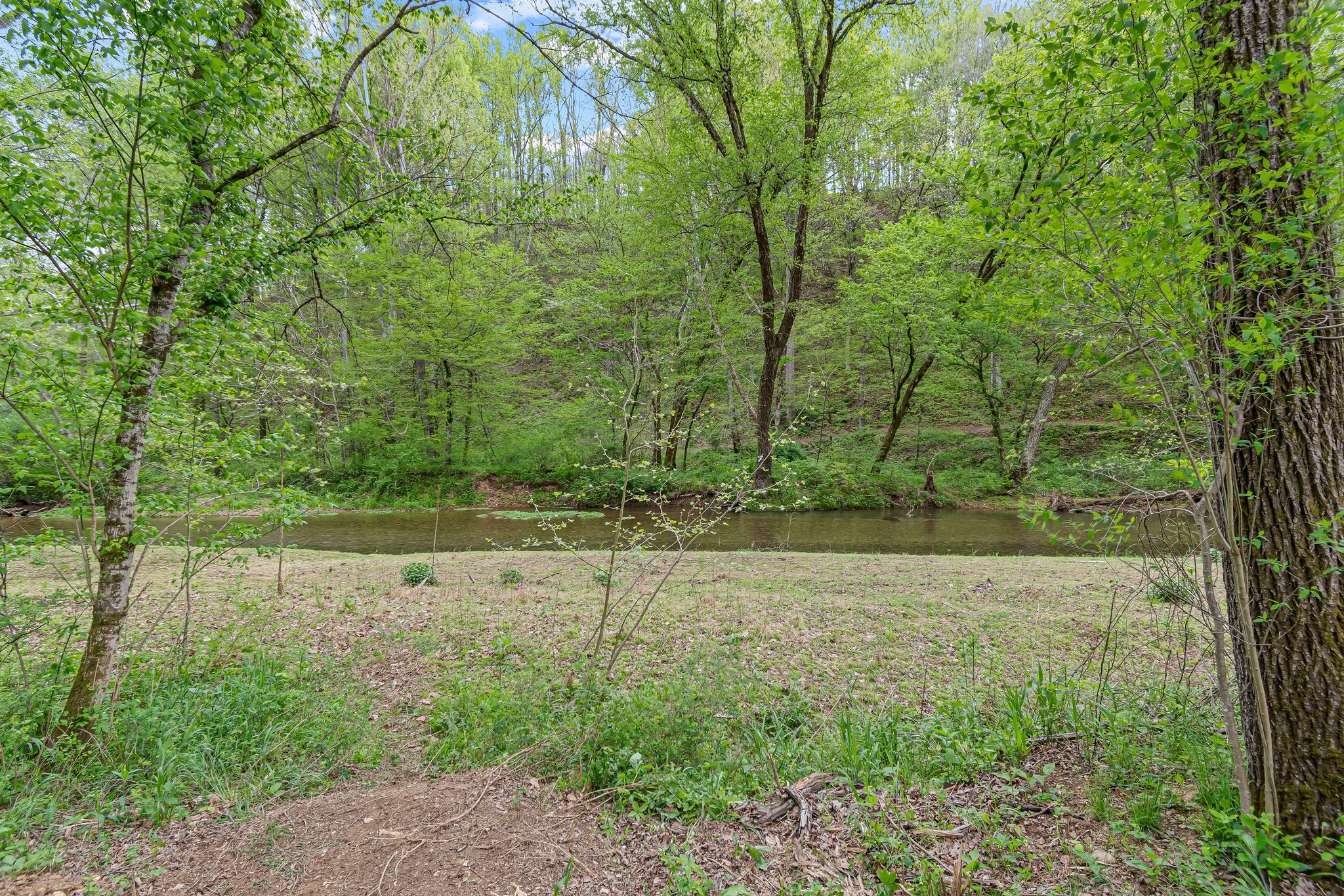 0 Backside Beaverdam Road Centerville, TN 37033 - Photo 38 of 53 Gallery Image 38