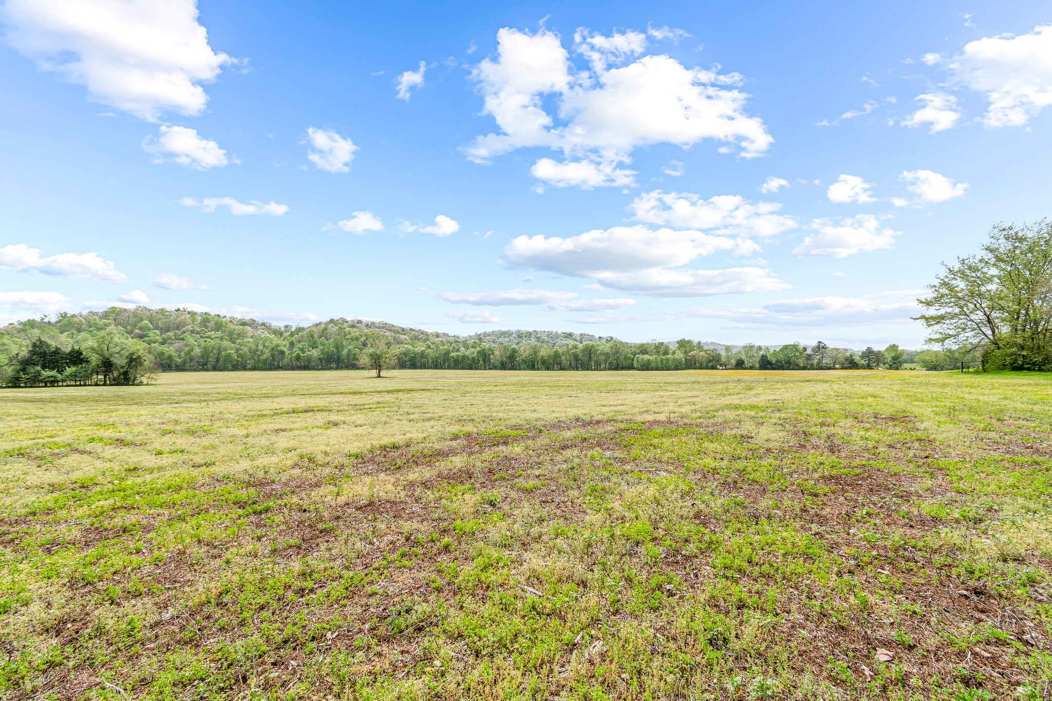 0 Backside Beaverdam Road Centerville, TN 37033 - Photo 39 of 53 Gallery Image 39