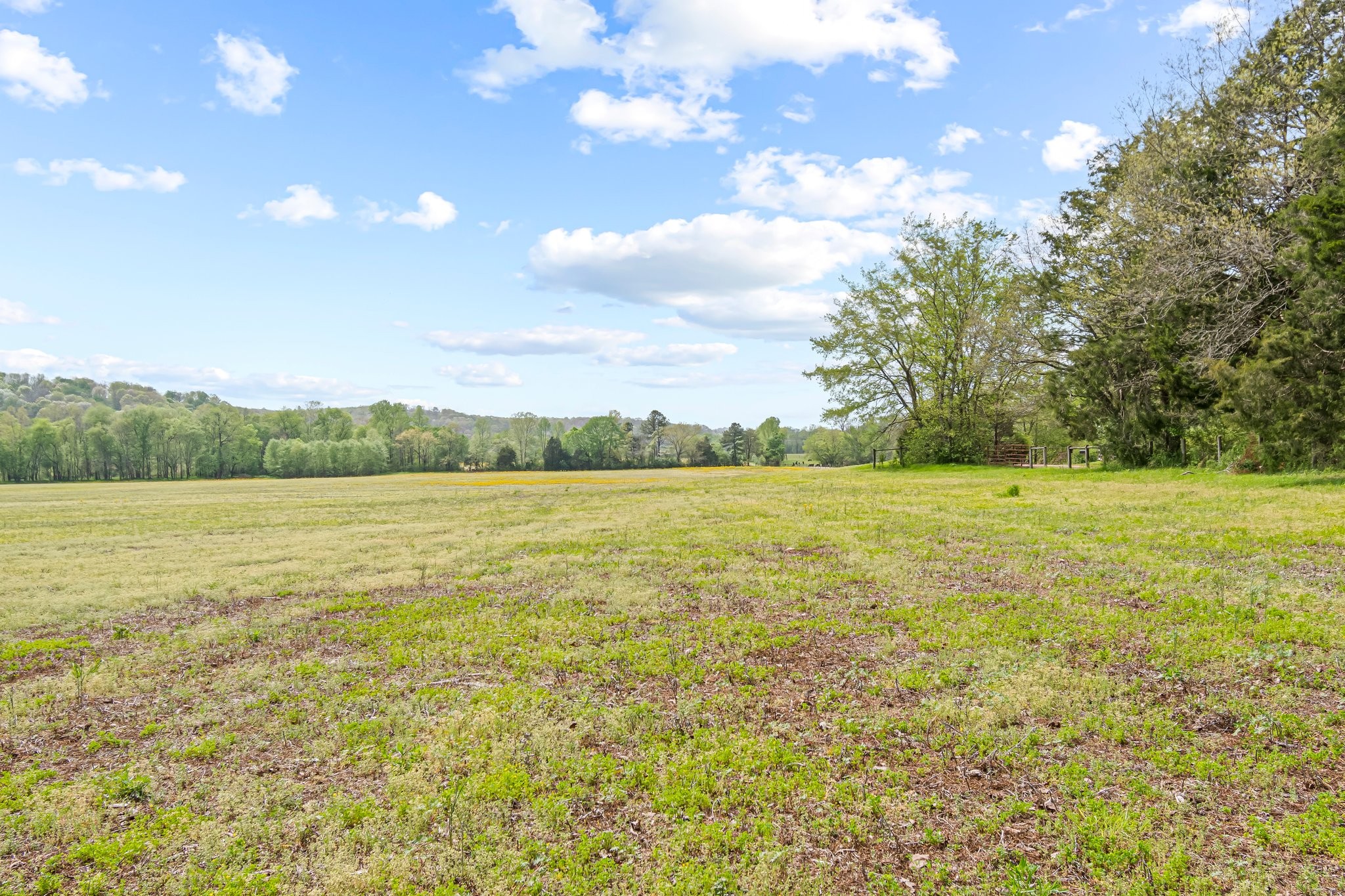 0 Backside Beaverdam Road Centerville, TN 37033 - Photo 40 of 53 Gallery Image 40