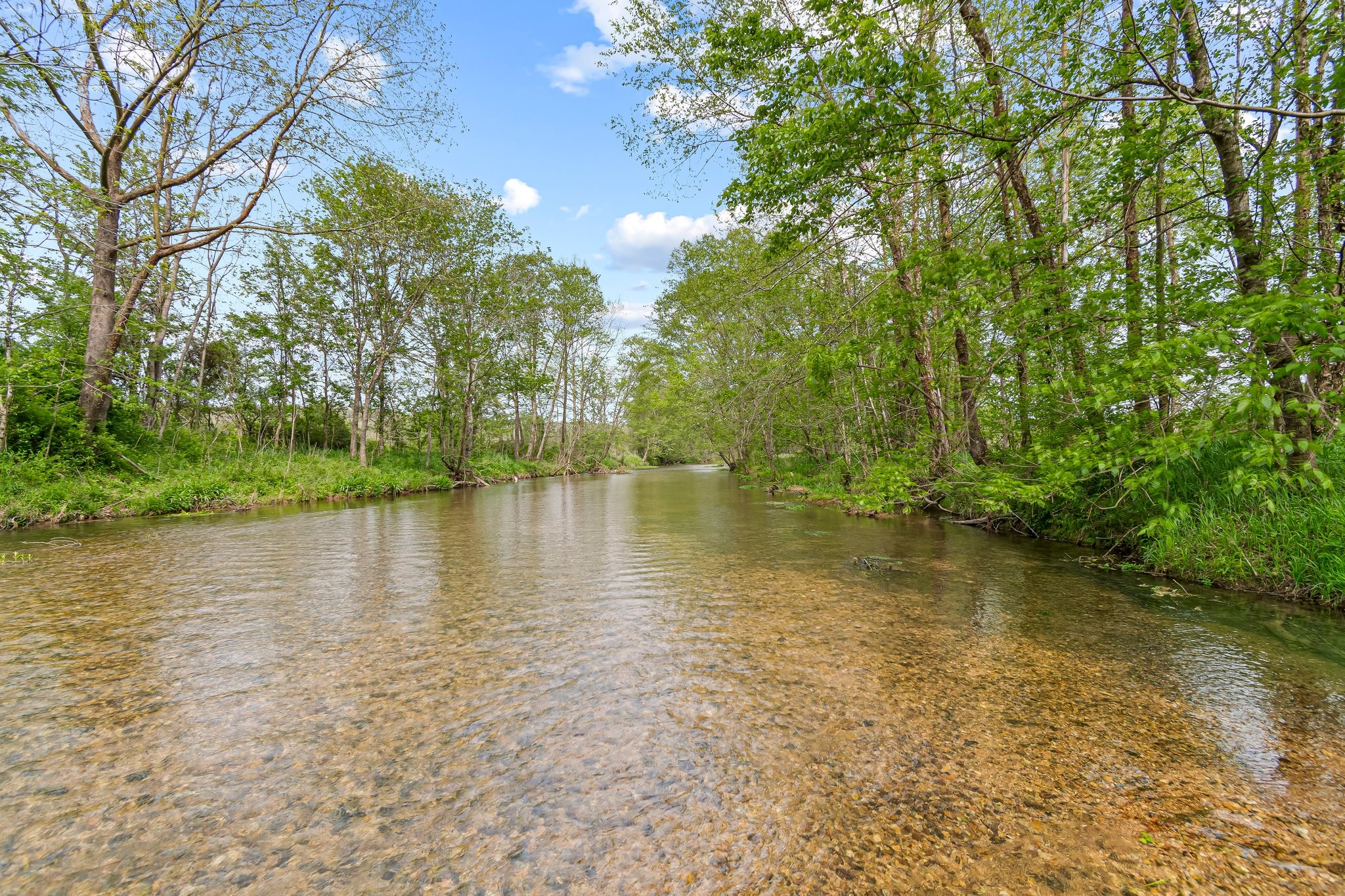 0 Backside Beaverdam Road Centerville, TN 37033 - Photo 4 of 53 Gallery Image 4