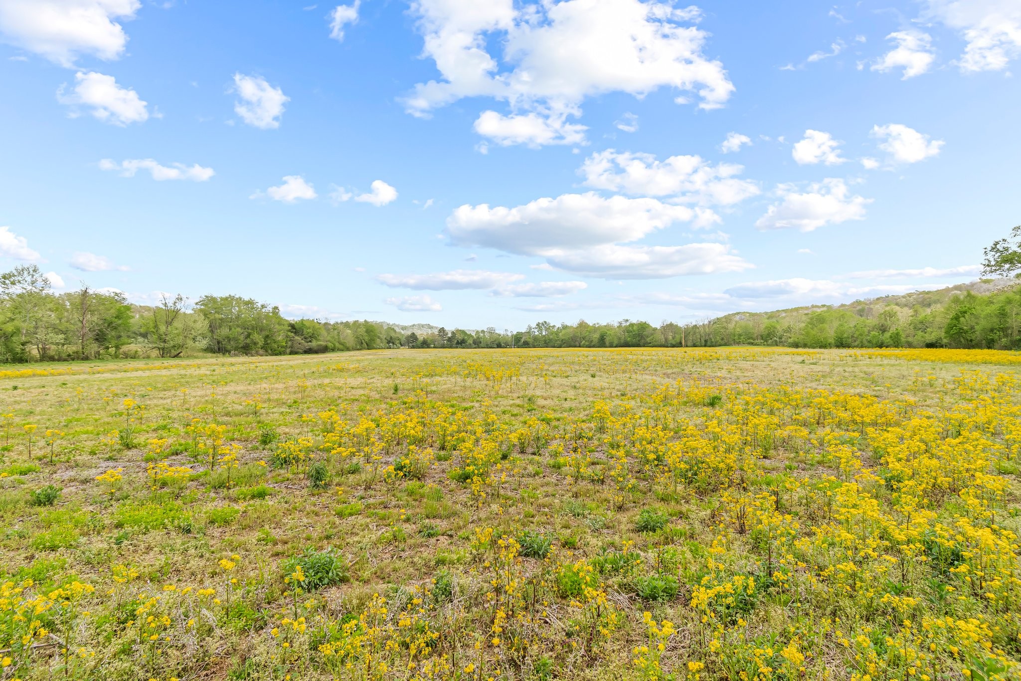 0 Backside Beaverdam Road Centerville, TN 37033 - Photo 41 of 53 Gallery Image 41