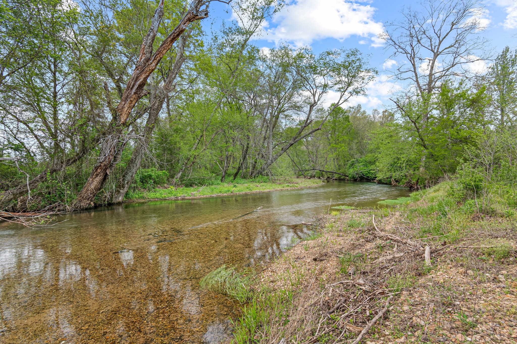 0 Backside Beaverdam Road Centerville, TN 37033 - Photo 42 of 53 Gallery Image 42