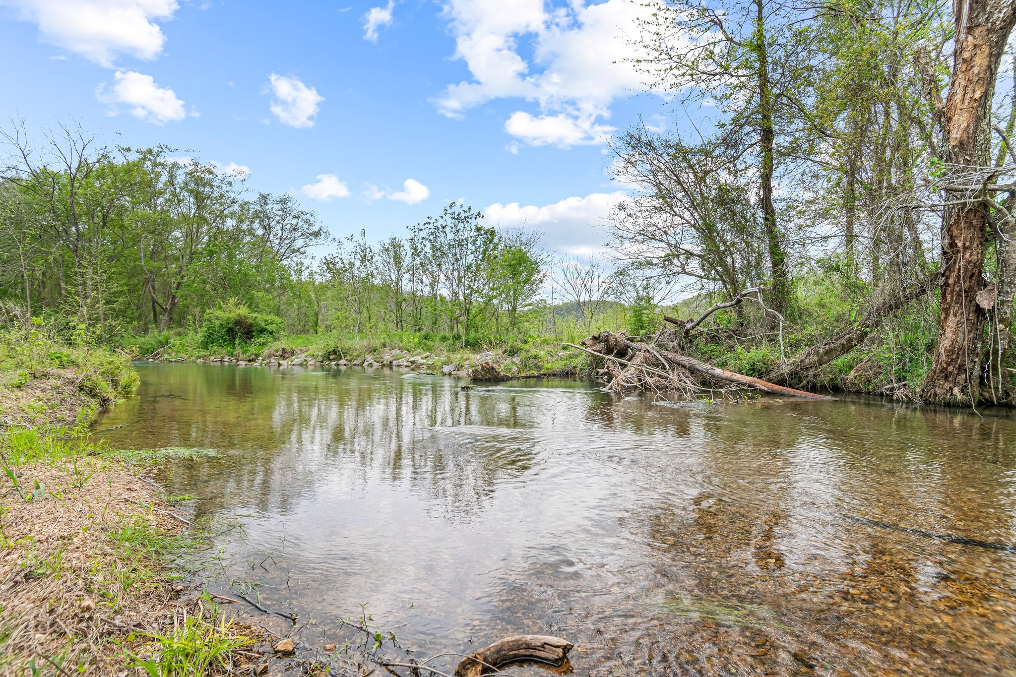 0 Backside Beaverdam Road Centerville, TN 37033 - Photo 43 of 53 Gallery Image 43