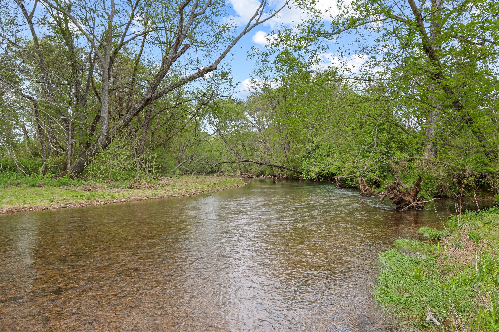0 Backside Beaverdam Road Centerville, TN 37033 - Photo 44 of 53 Gallery Image 44