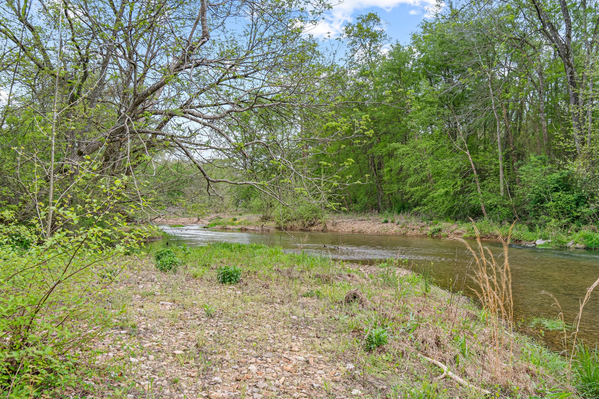 0 Backside Beaverdam Road Centerville, TN 37033 - Photo 45 of 53 Gallery Image 45