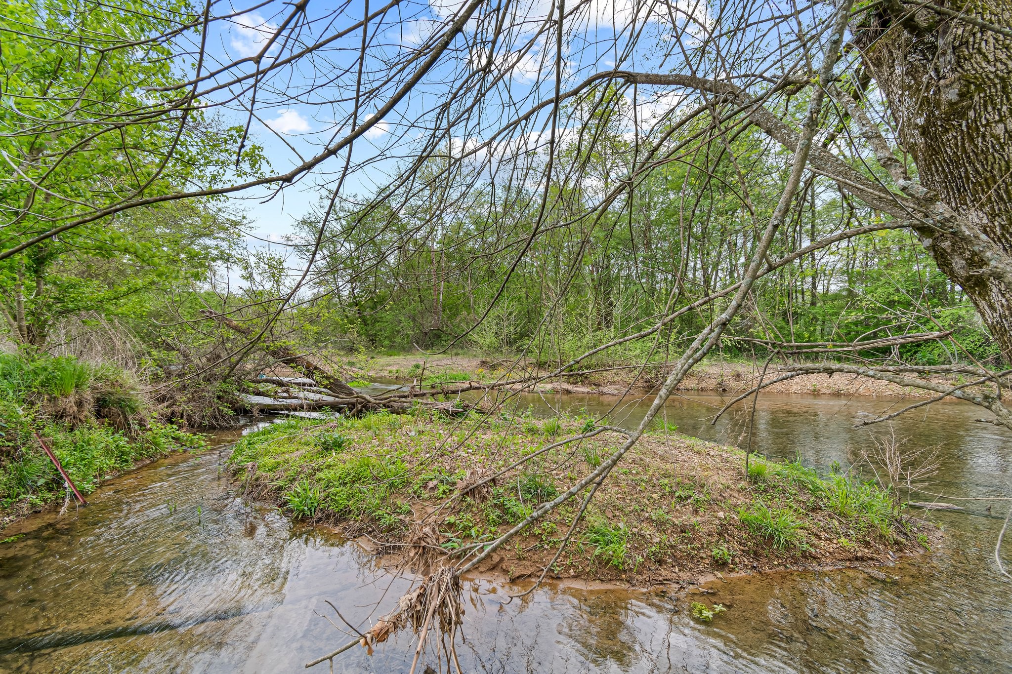 0 Backside Beaverdam Road Centerville, TN 37033 - Photo 46 of 53 Gallery Image 46